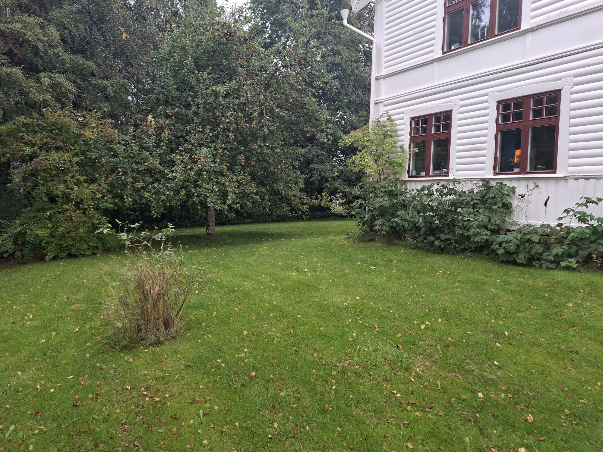 3 rok · 75 m² i Mullsjö – bild 12