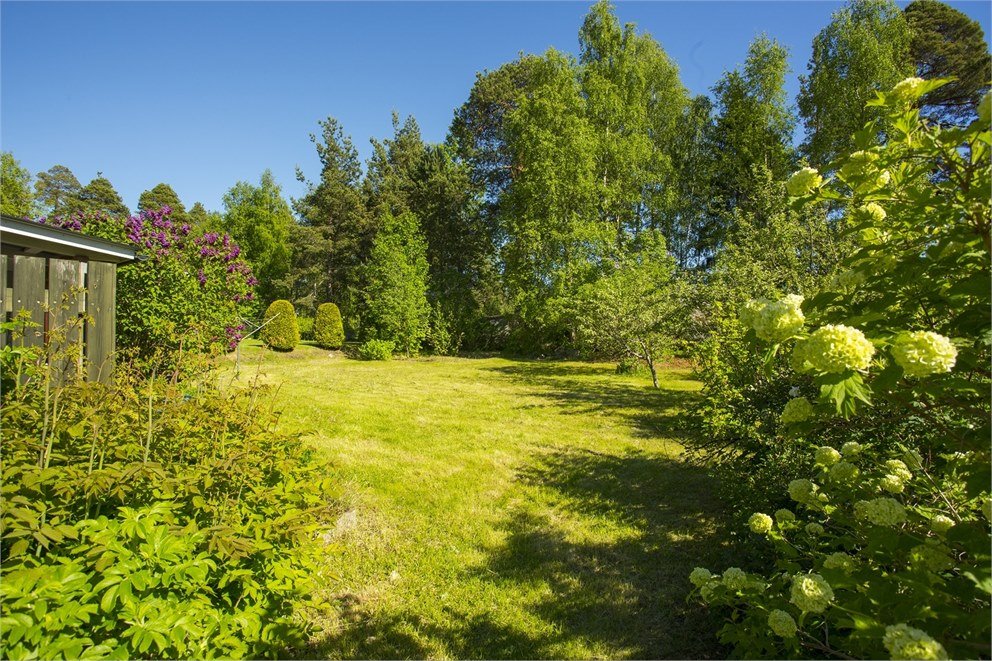 Aspvägen