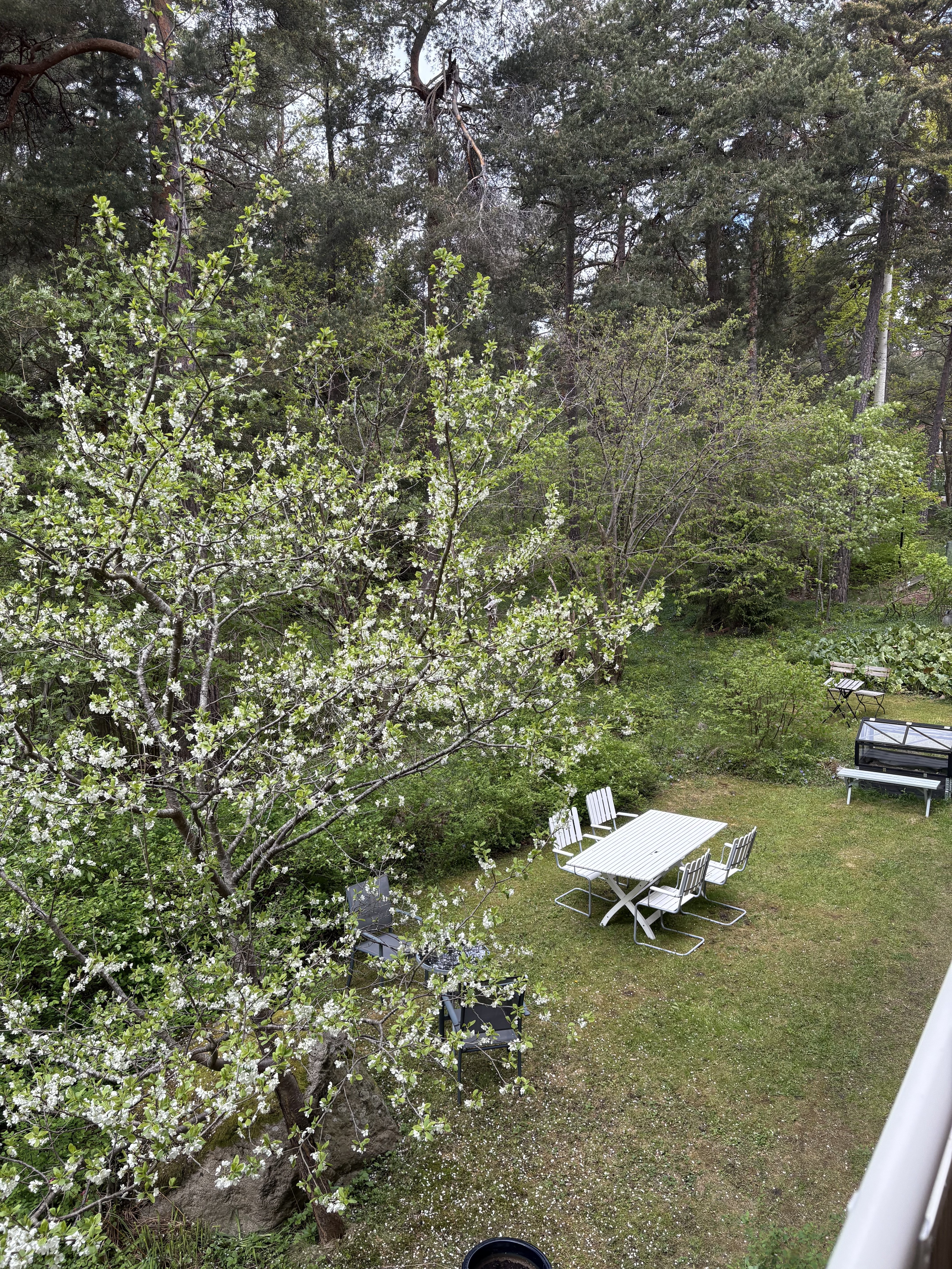 Stopvägen, Bromma — photo 5