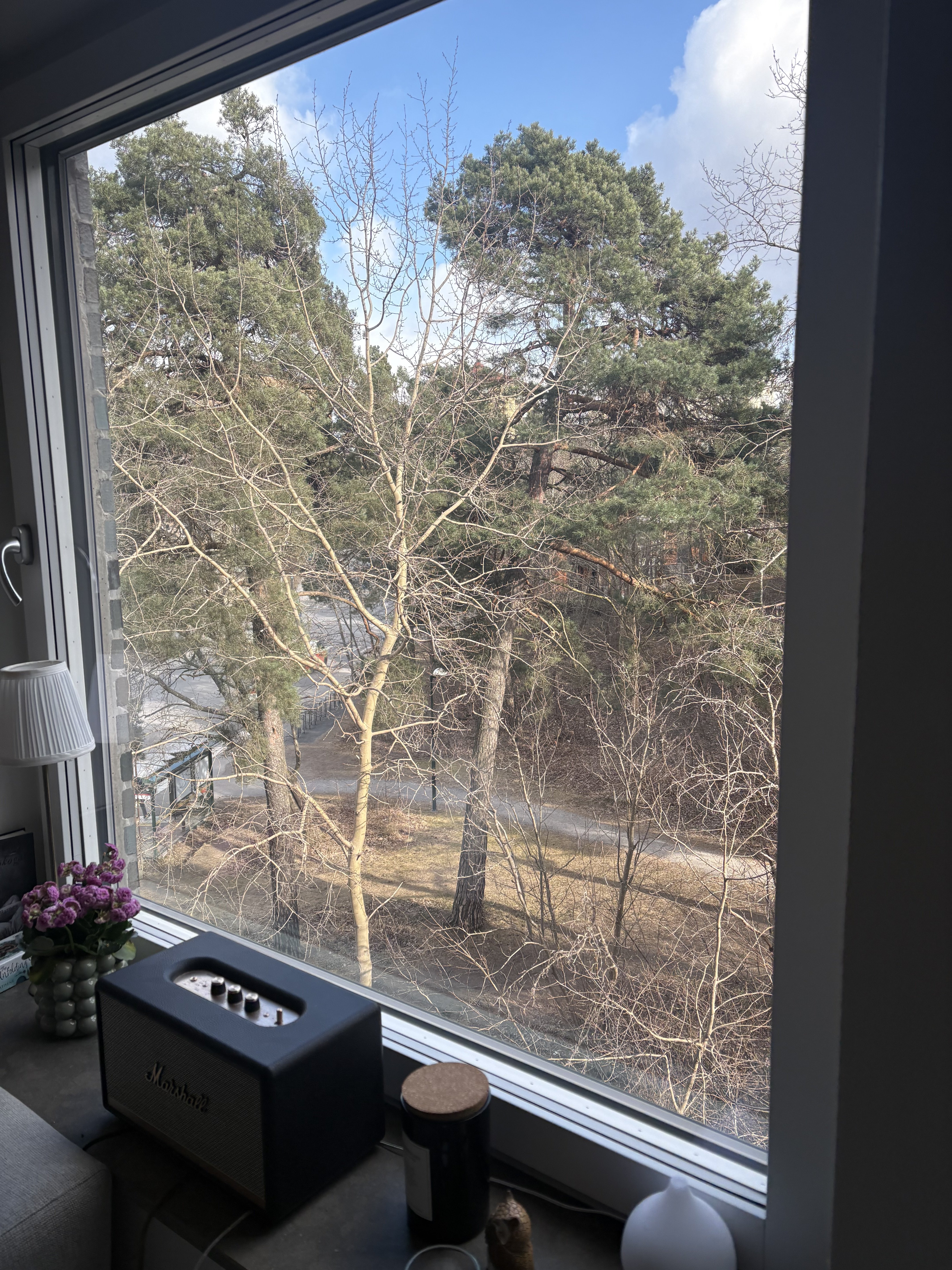 Sköntorpsvägen, Årsta