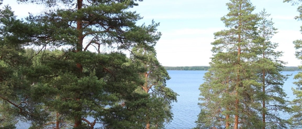 apartment at Haapavedentie, Savonlinna 2