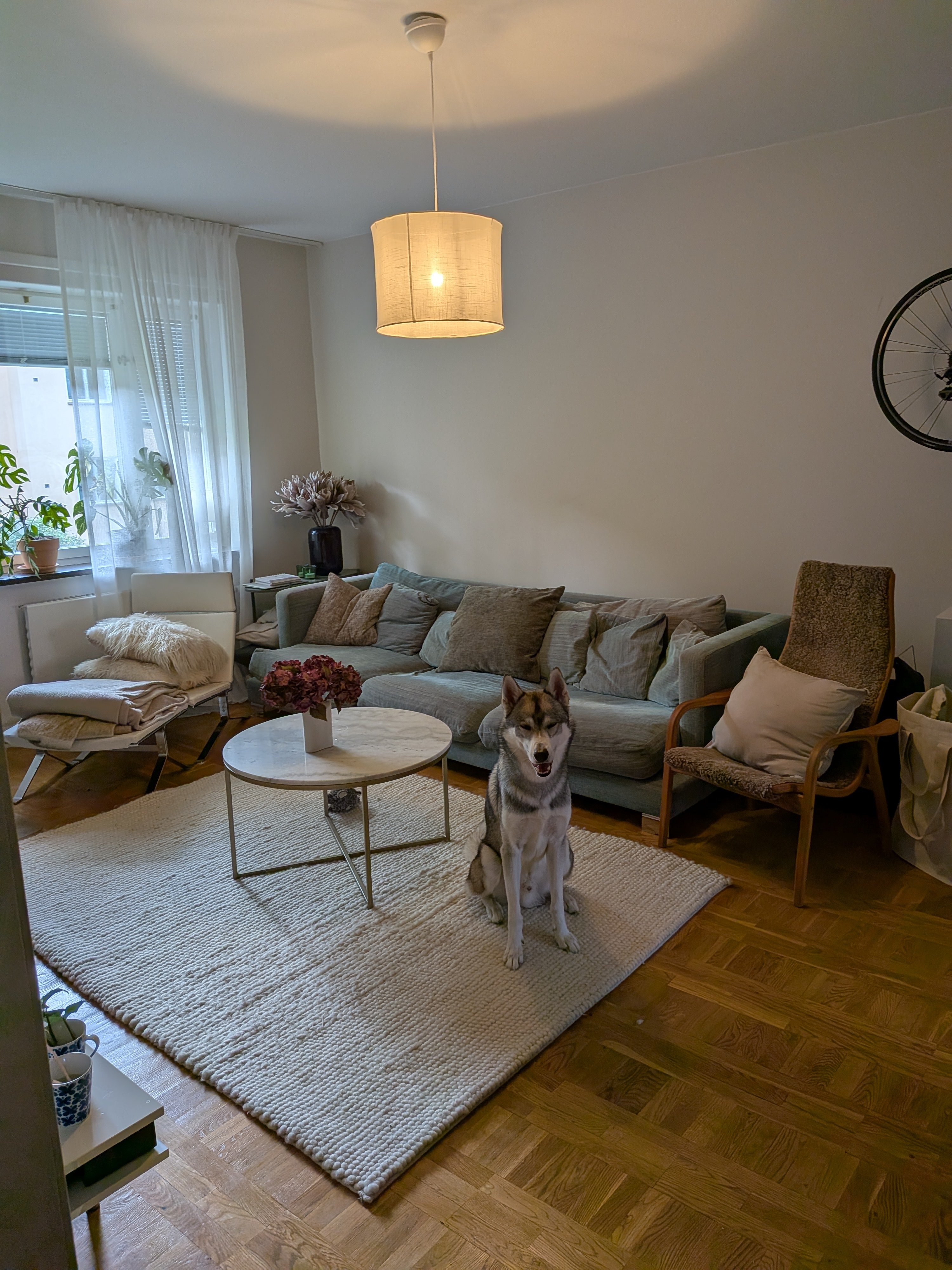 Ståltrådsvägen, Bromma — photo 5