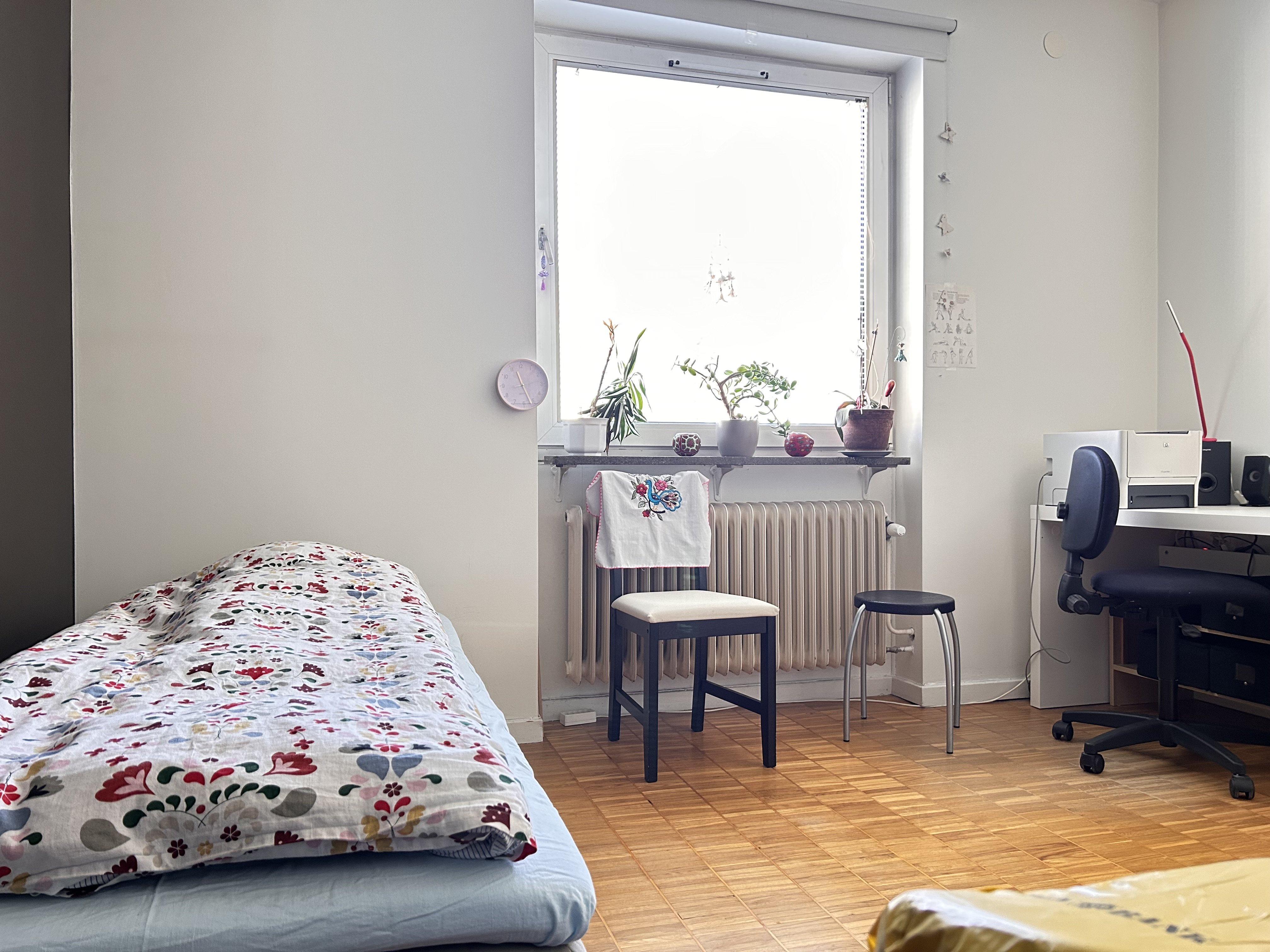 Ribevägen, Malmö — photo 3