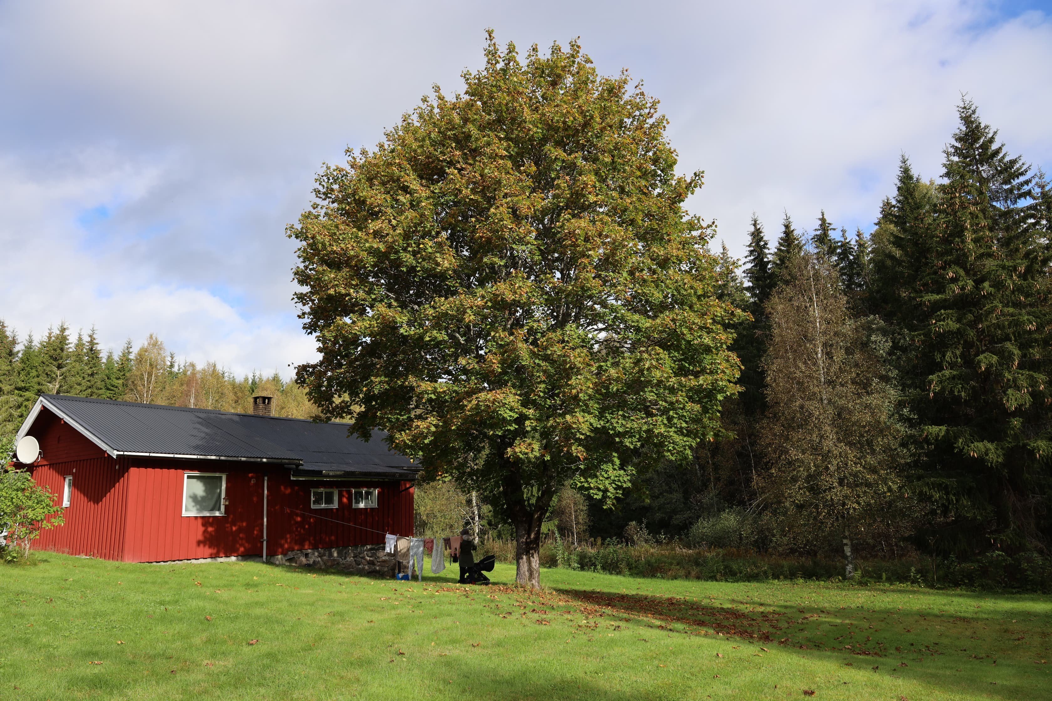 Villa/Hus, 4 rooms, 90 sqm, Töcksfors