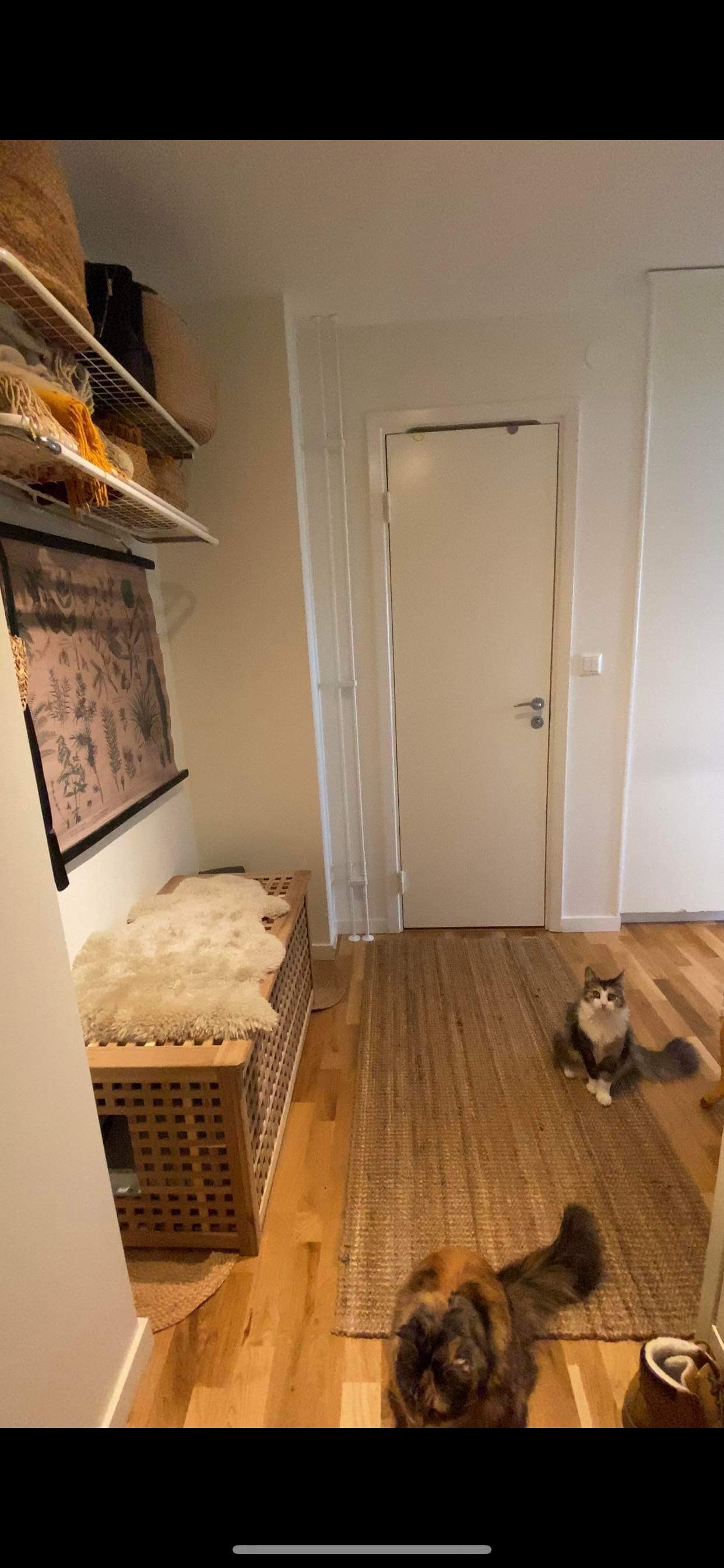 3 rok · 68 m² i Norrköping  – bild 13
