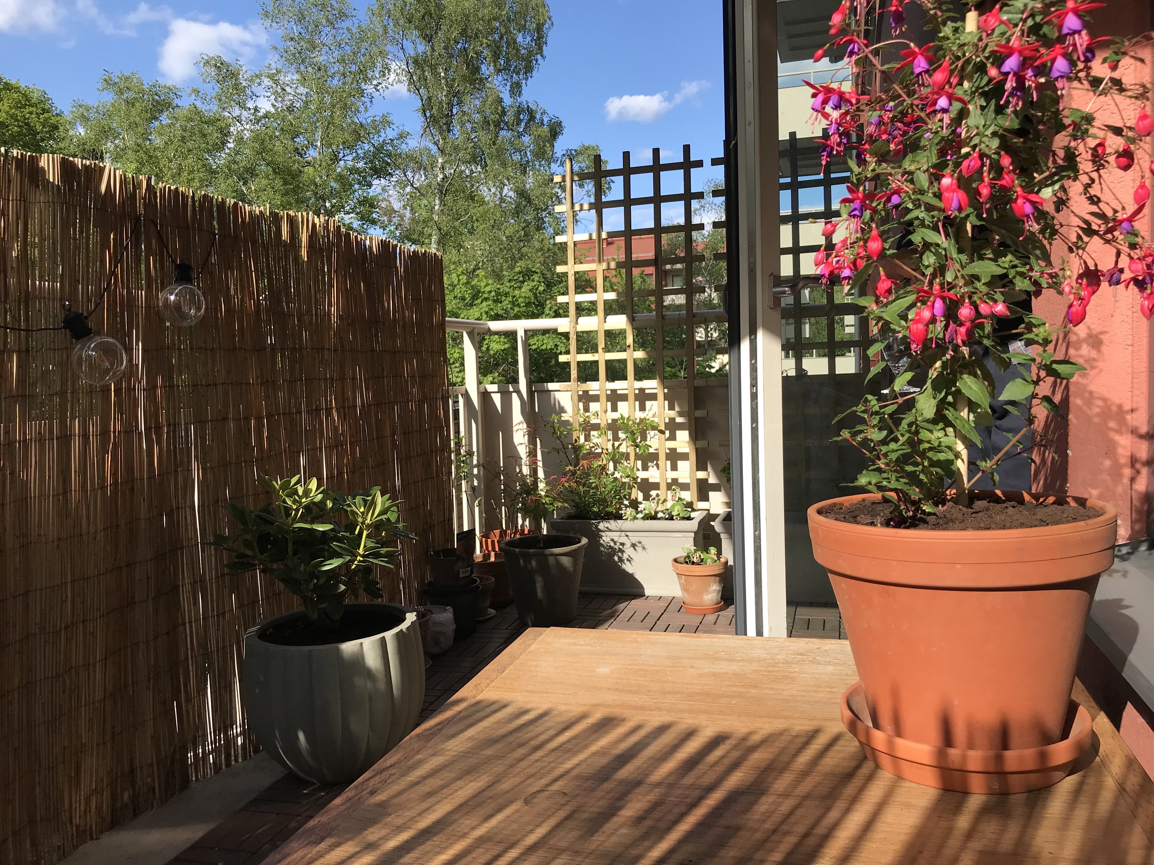 2 rum och kök, Skarpnäck — 10 613 kr/mån — bild 5