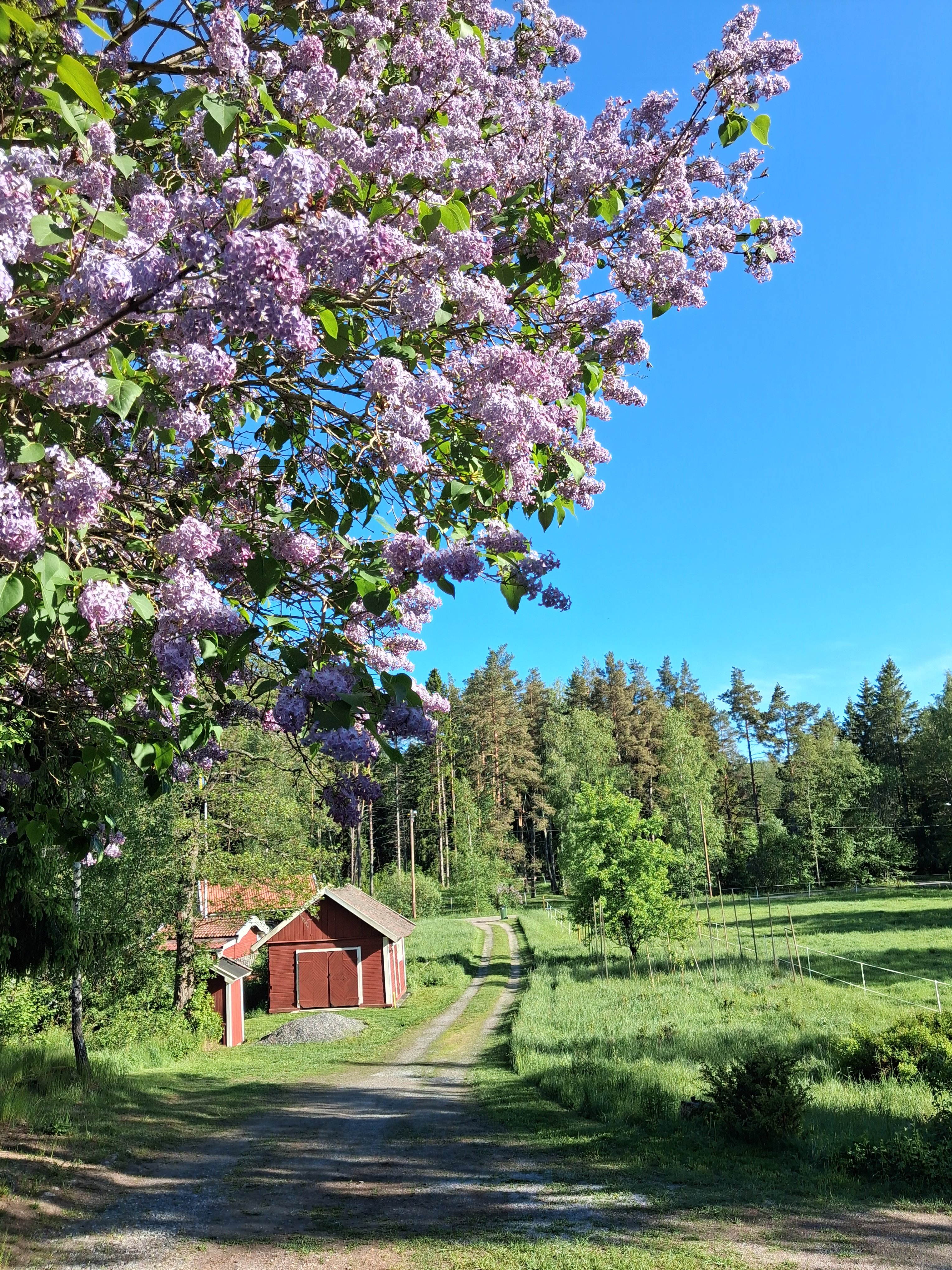 6 rok · 125 m² i Vendelsö – bild 9