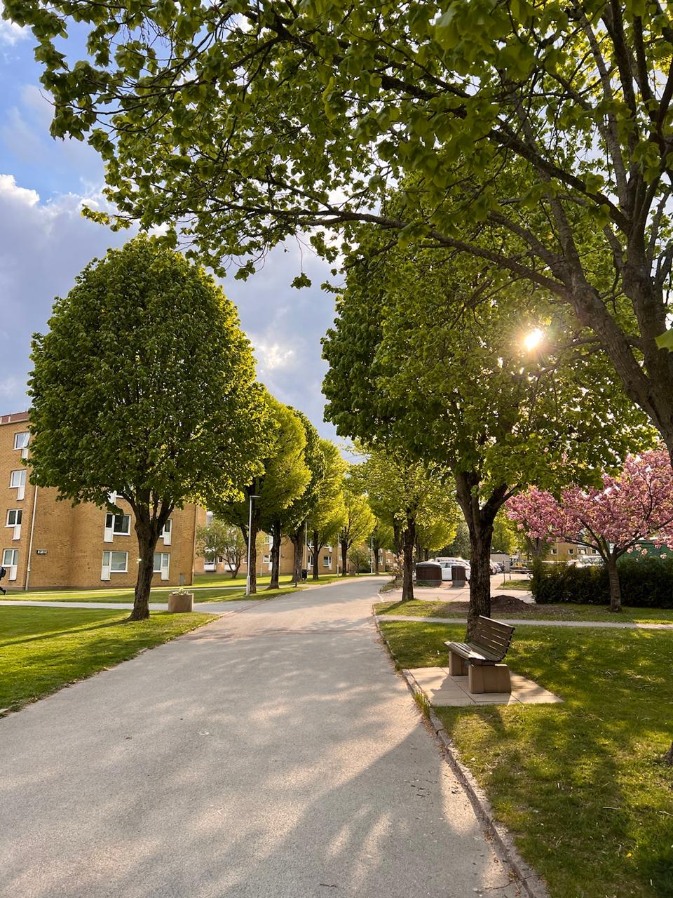 Arvesgärde, Göteborg — photo 5