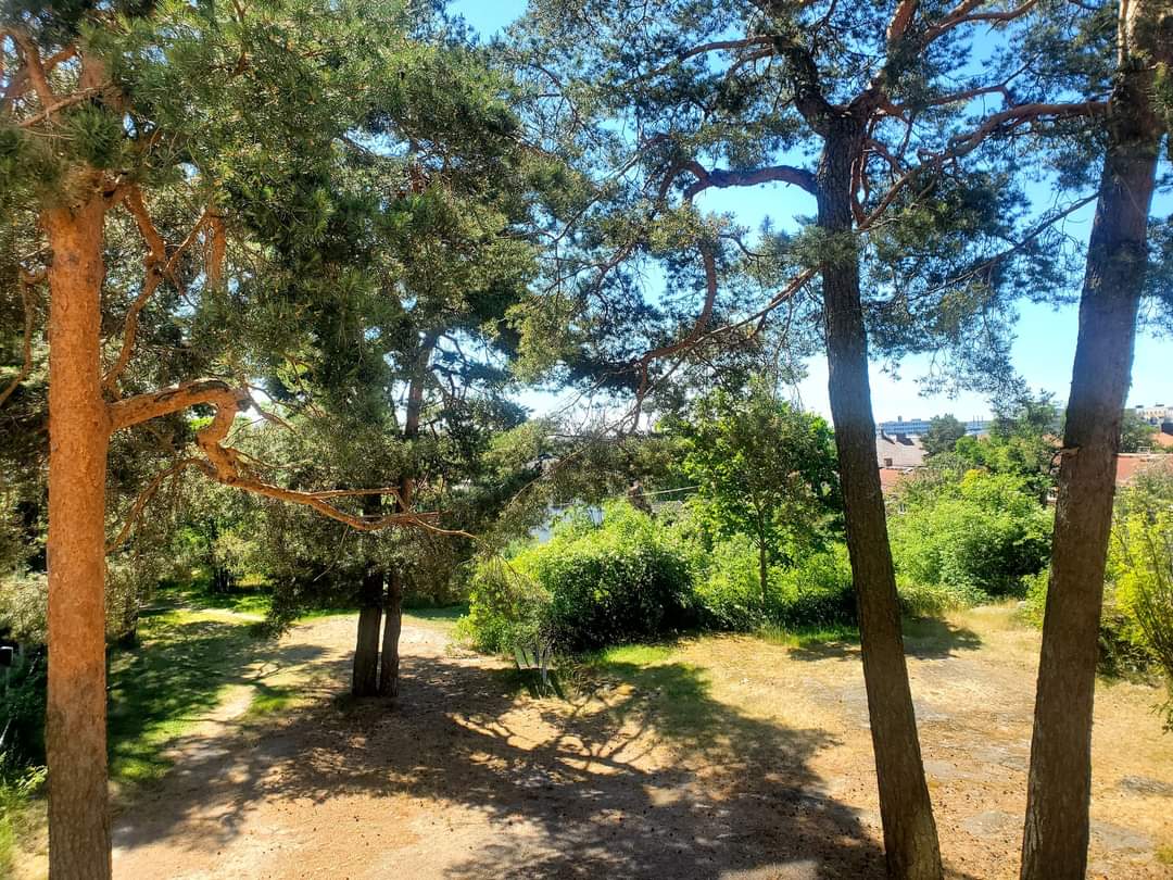 Lägenhet – Solna, Råsunda - Bild 2