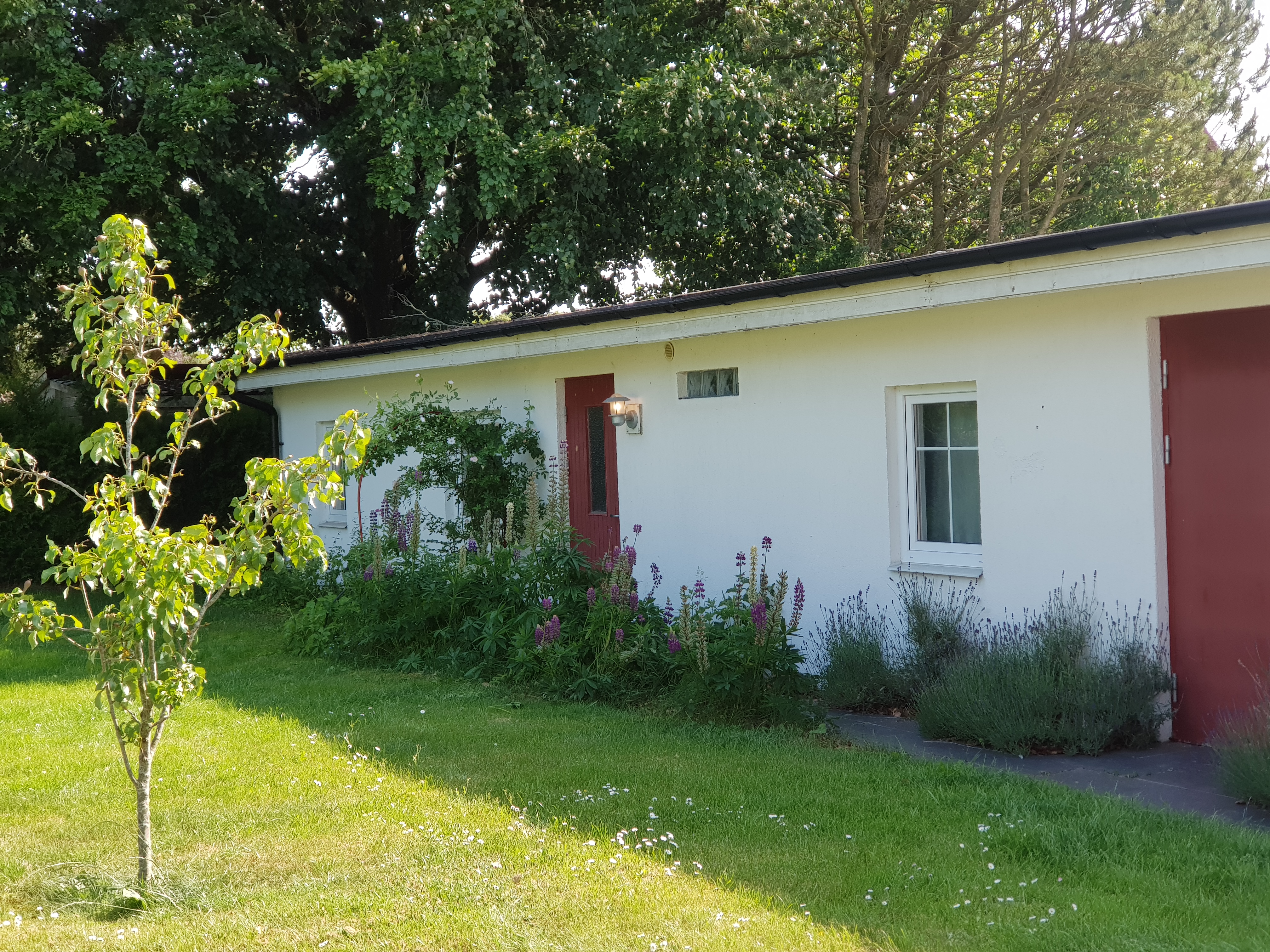 Lägenhet, 2 rooms, 46 sqm, Tomelilla