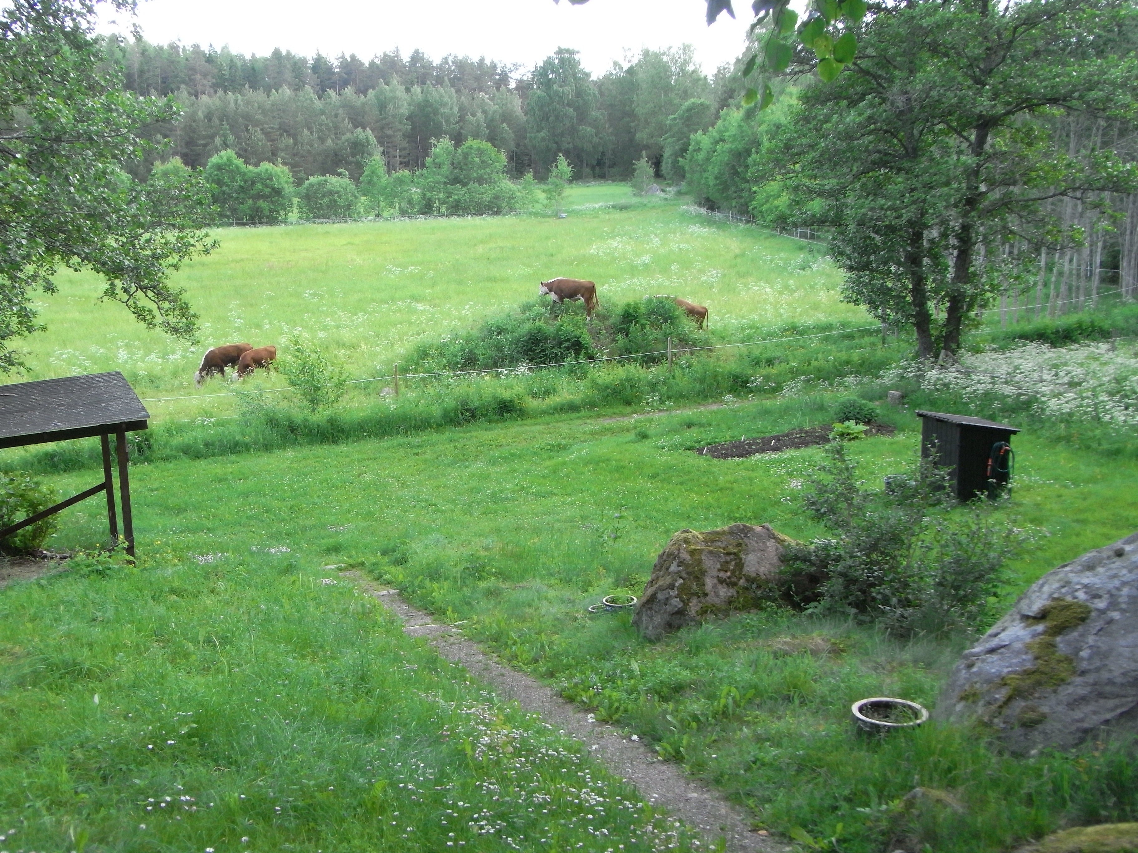 Hus – Norrtälje kommun, Stockholms län - Bild 4