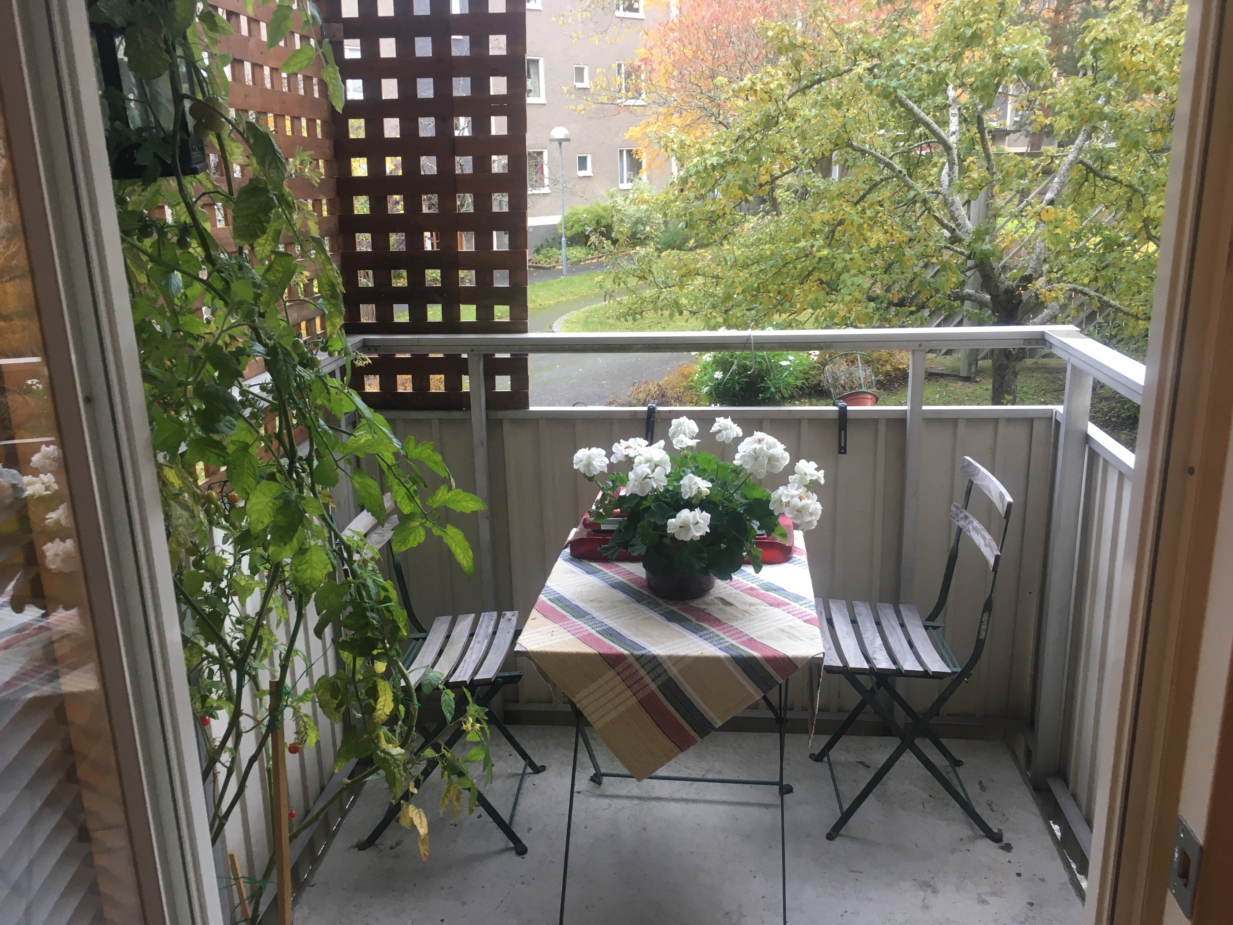 Ibsengatan, Bromma — photo 2
