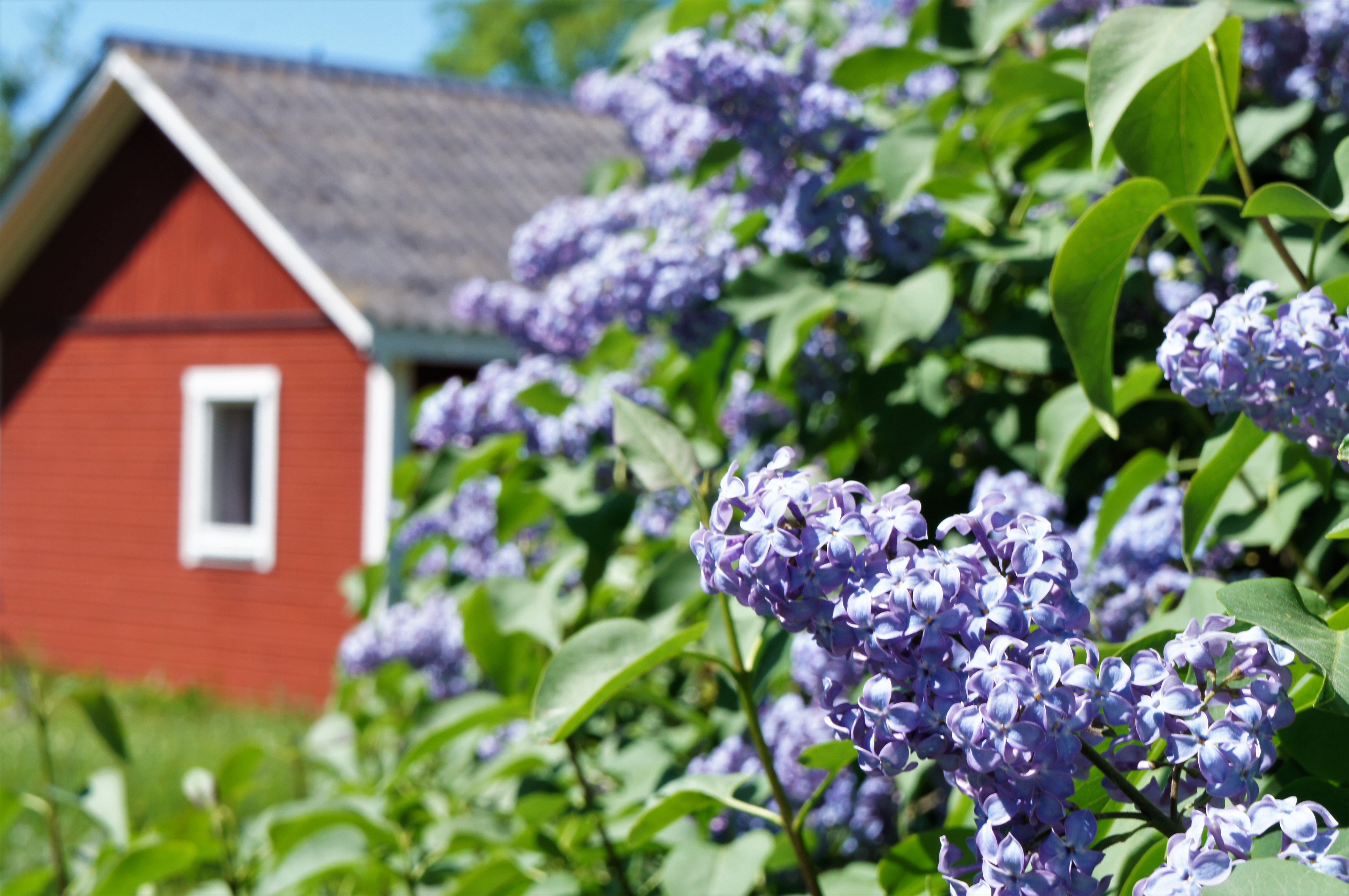 4 rok · 45 m² i Mörbylånga – bild 9