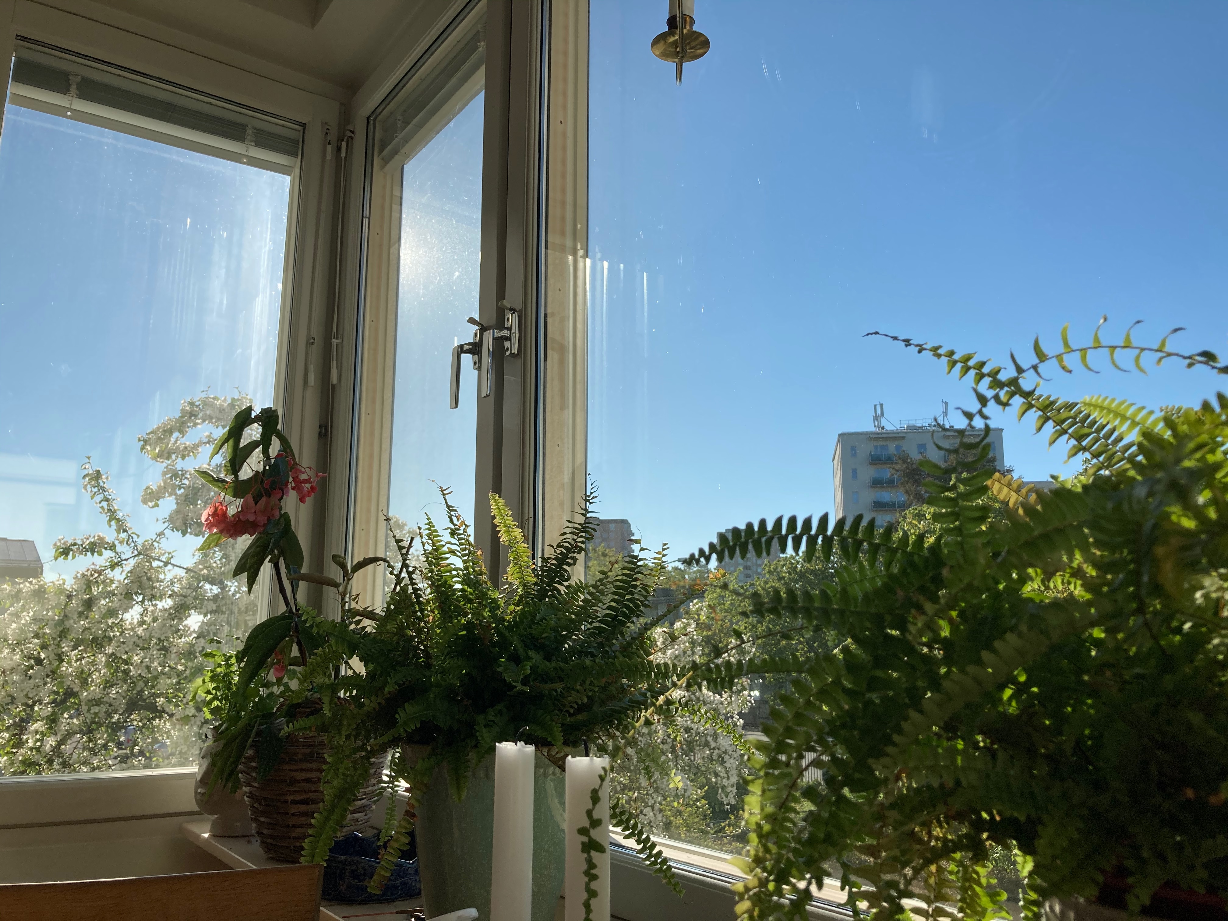 Forshagagatan, Farsta — photo 3