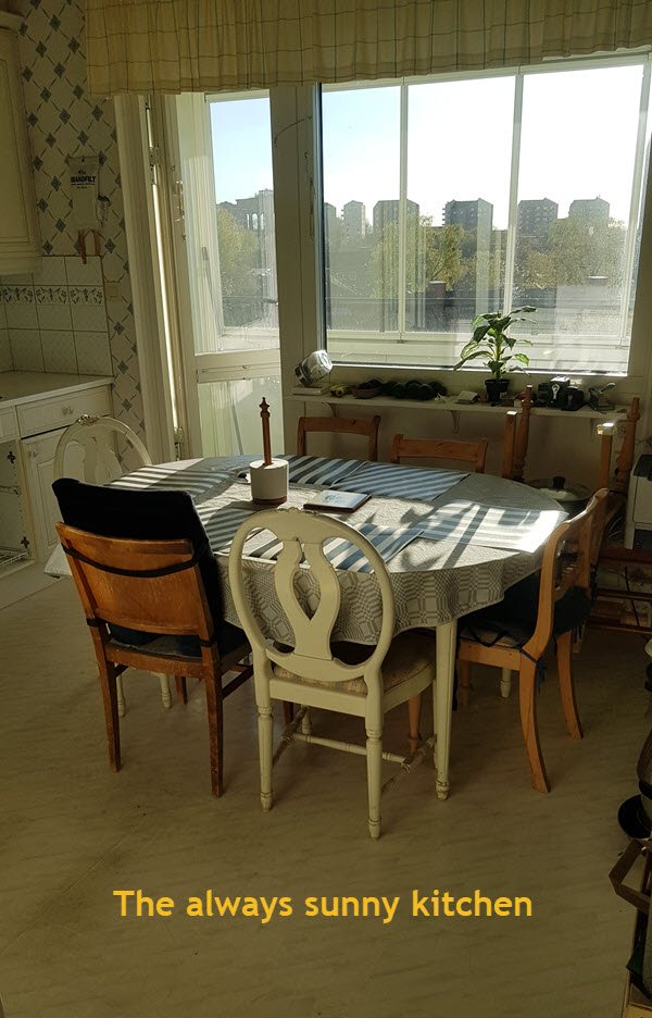 Doktor Forselius Gata, Göteborg