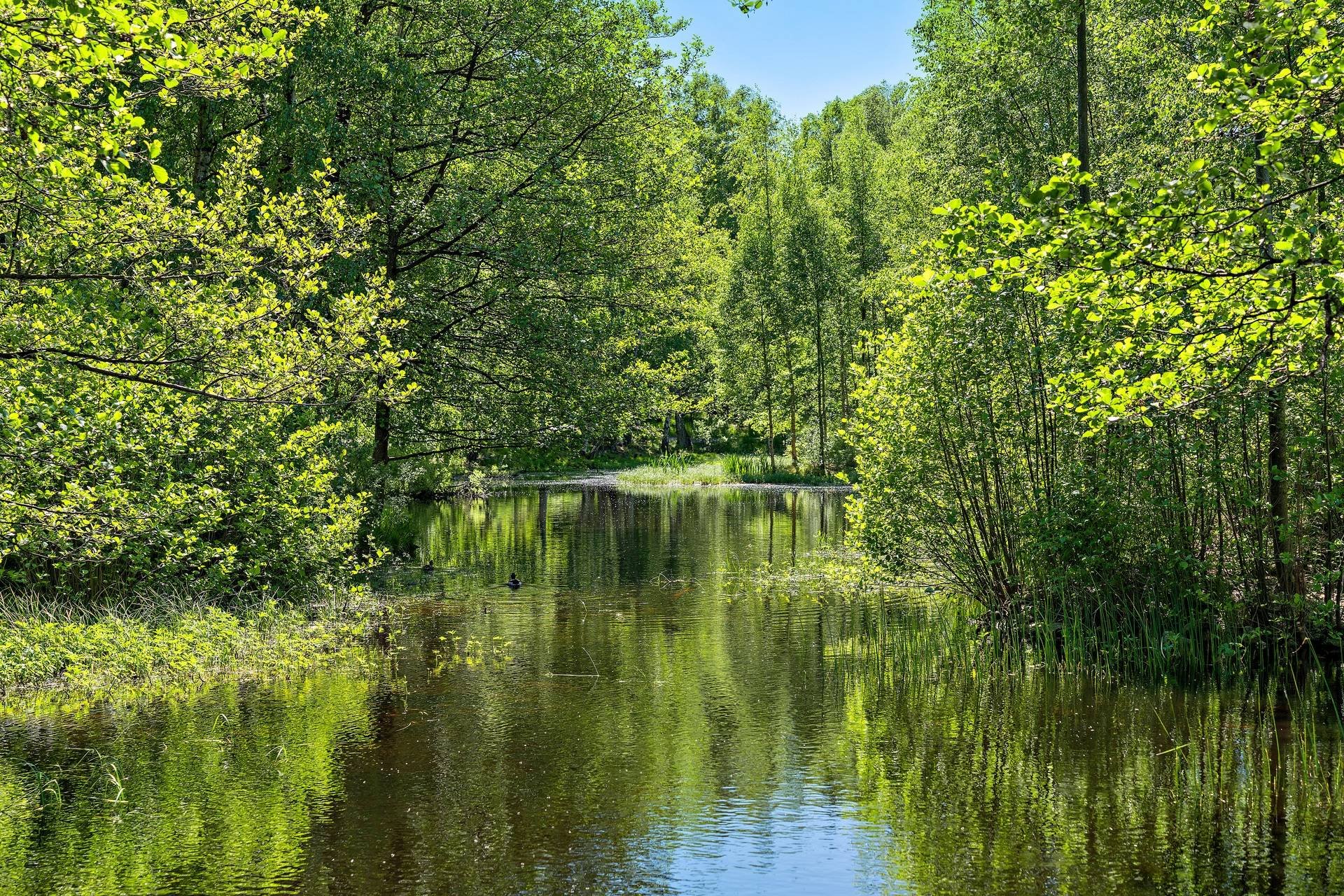 5 rok · 17 m² i Västra Frölunda – bild 7