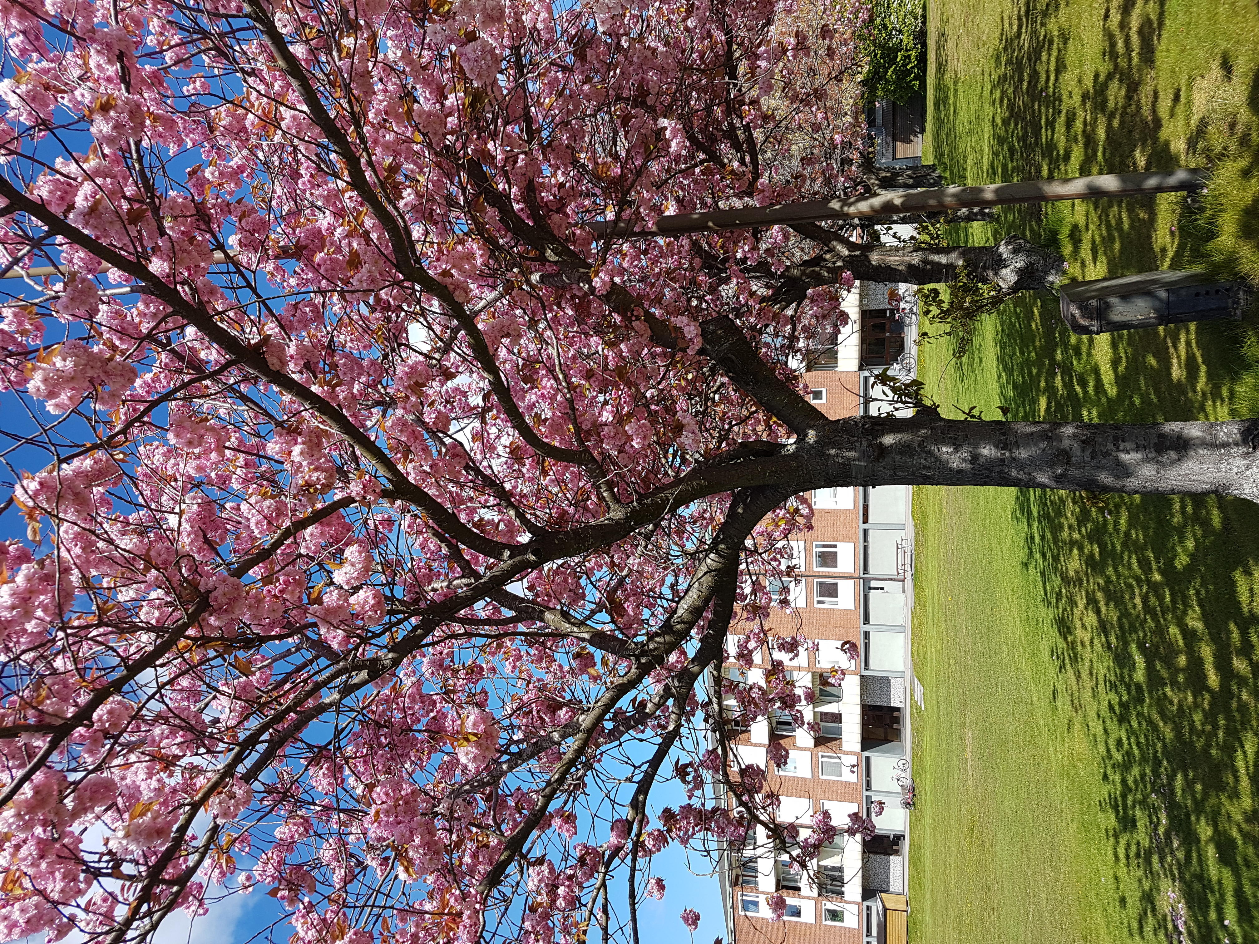 1 rok · 16 m² i Oxelösund – bild 5