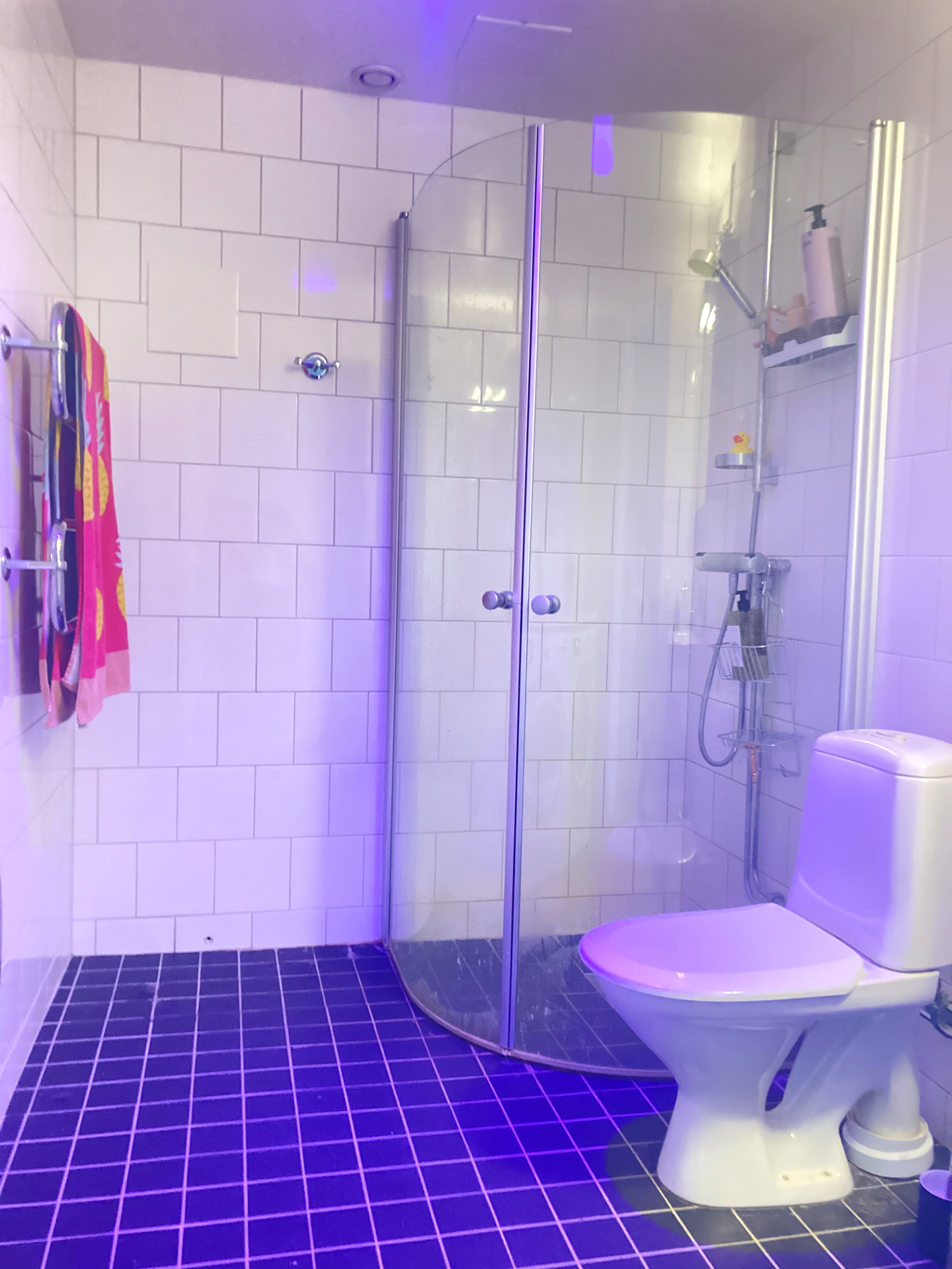 1 rok · 7 m² i Uppsala – bild 13