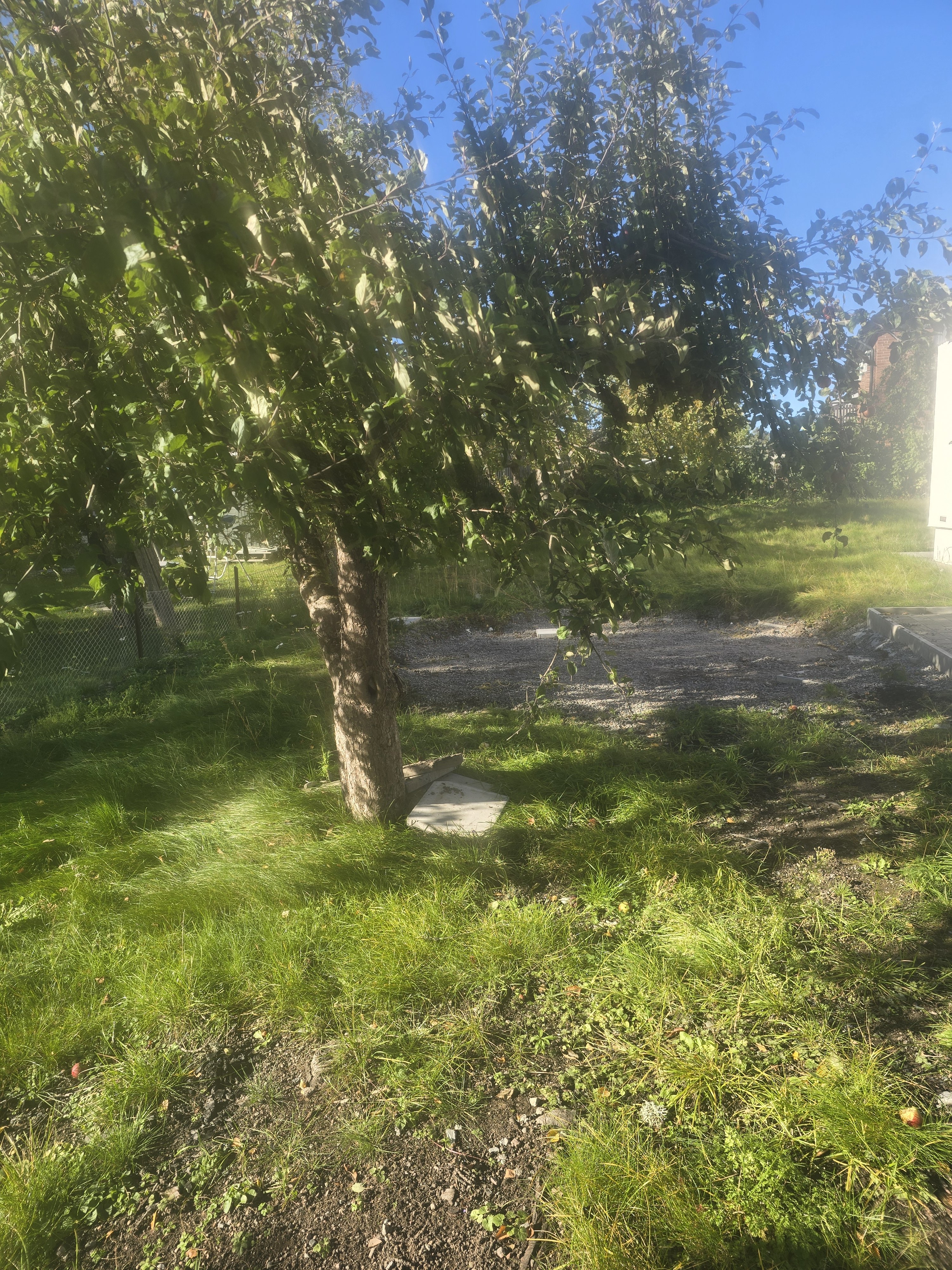 Lupinvägen, Hässelby — photo 2