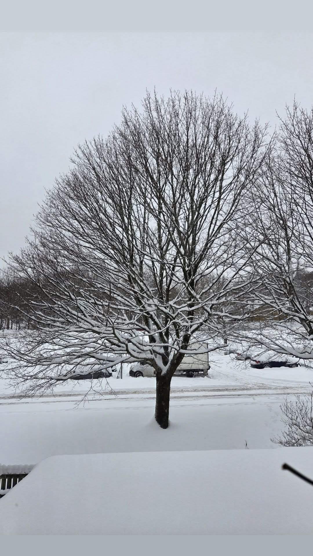 Fänkålsgatan, Göteborg  — photo 2