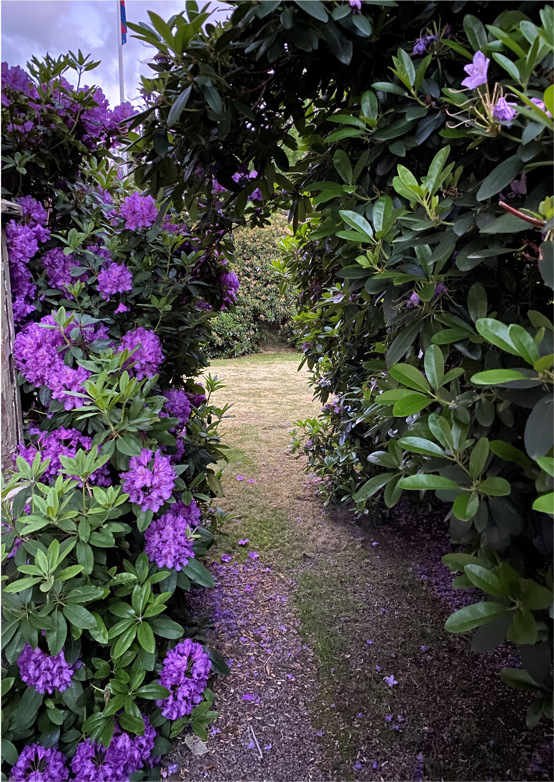 Örgryte kyrkogata, Göteborg