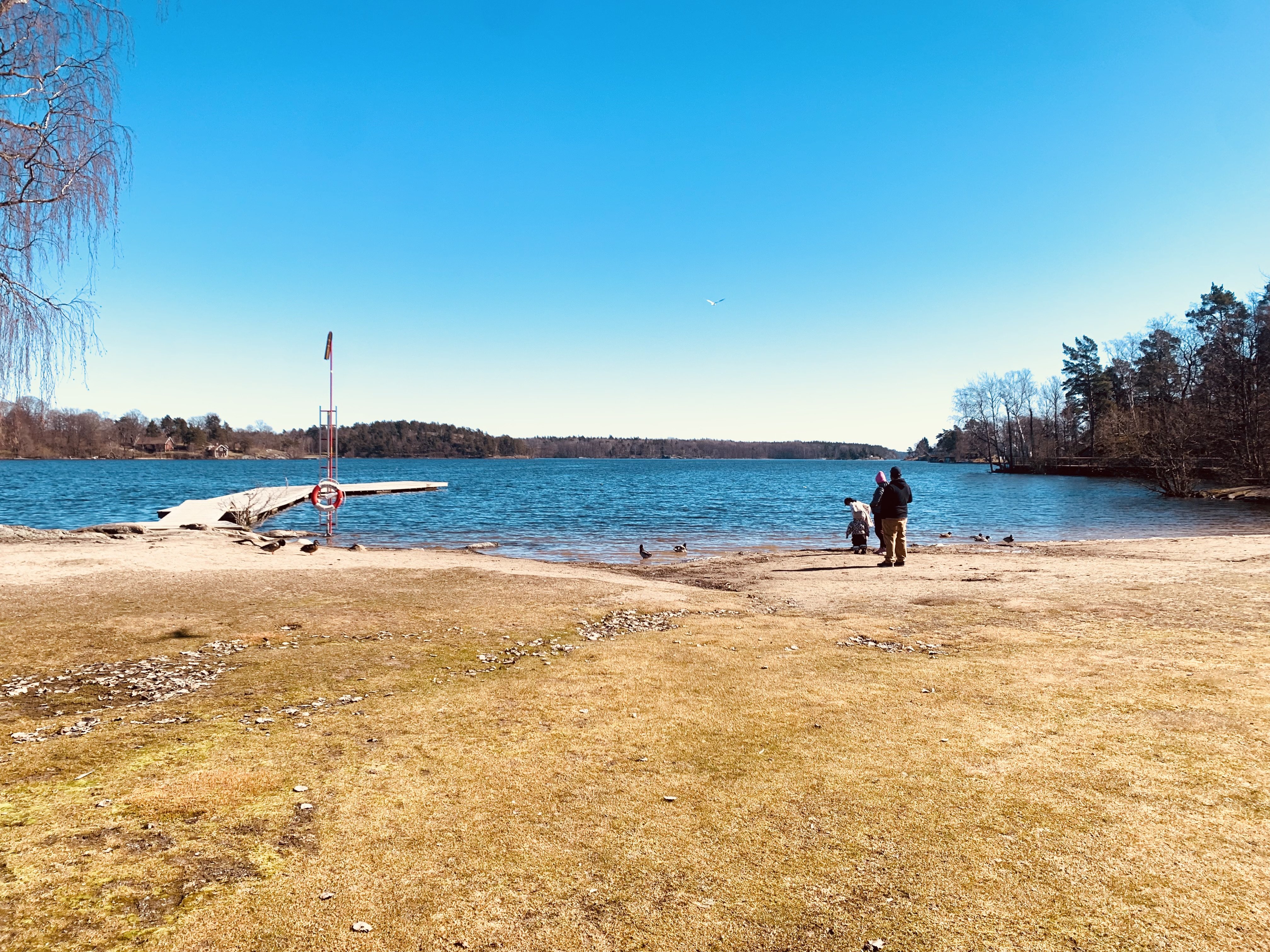 1 rum Farsta — 5 800 kr/mån | Bostadsögat