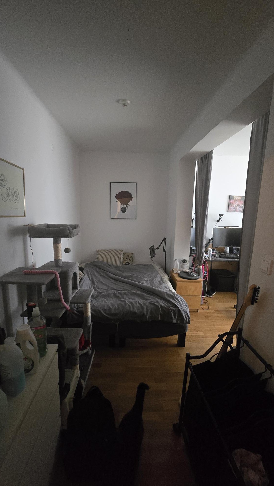 Föreningsgatan 32, Helsingborg — photo 3