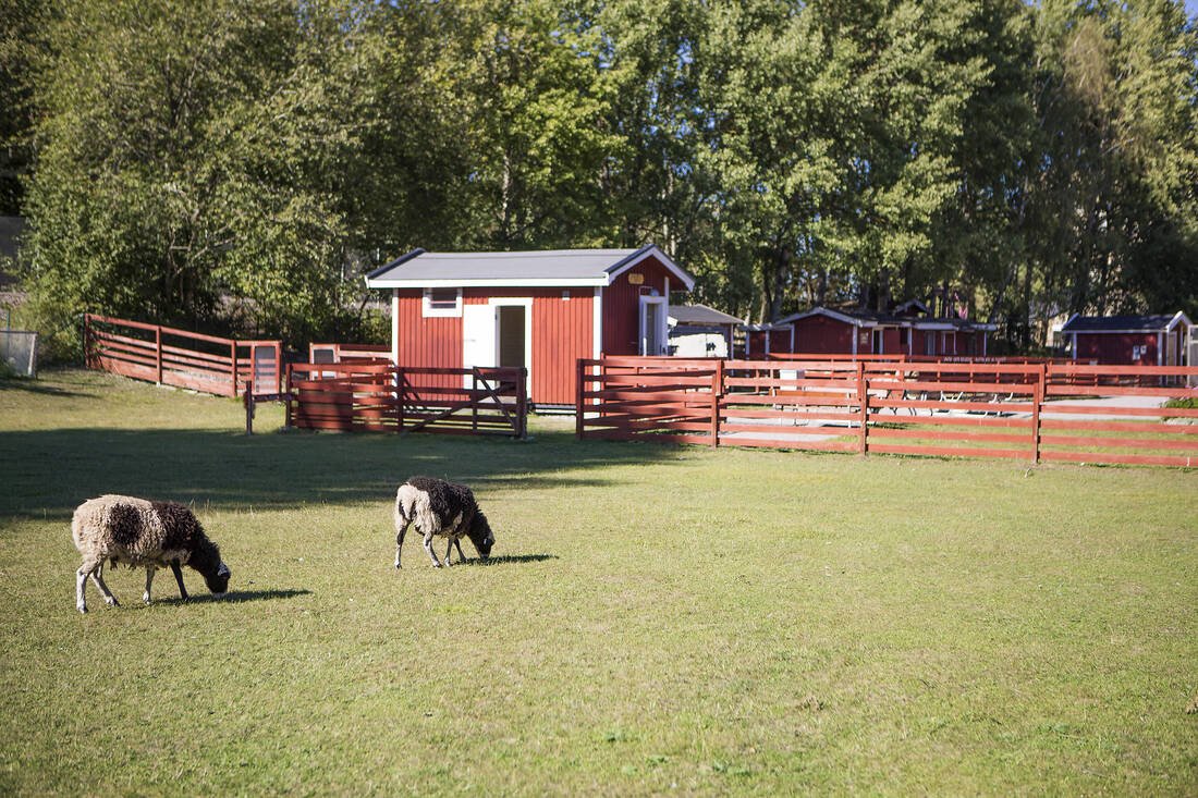 1.5 rum och kök, Bandhagen — 13 500 kr/mån — bild 4