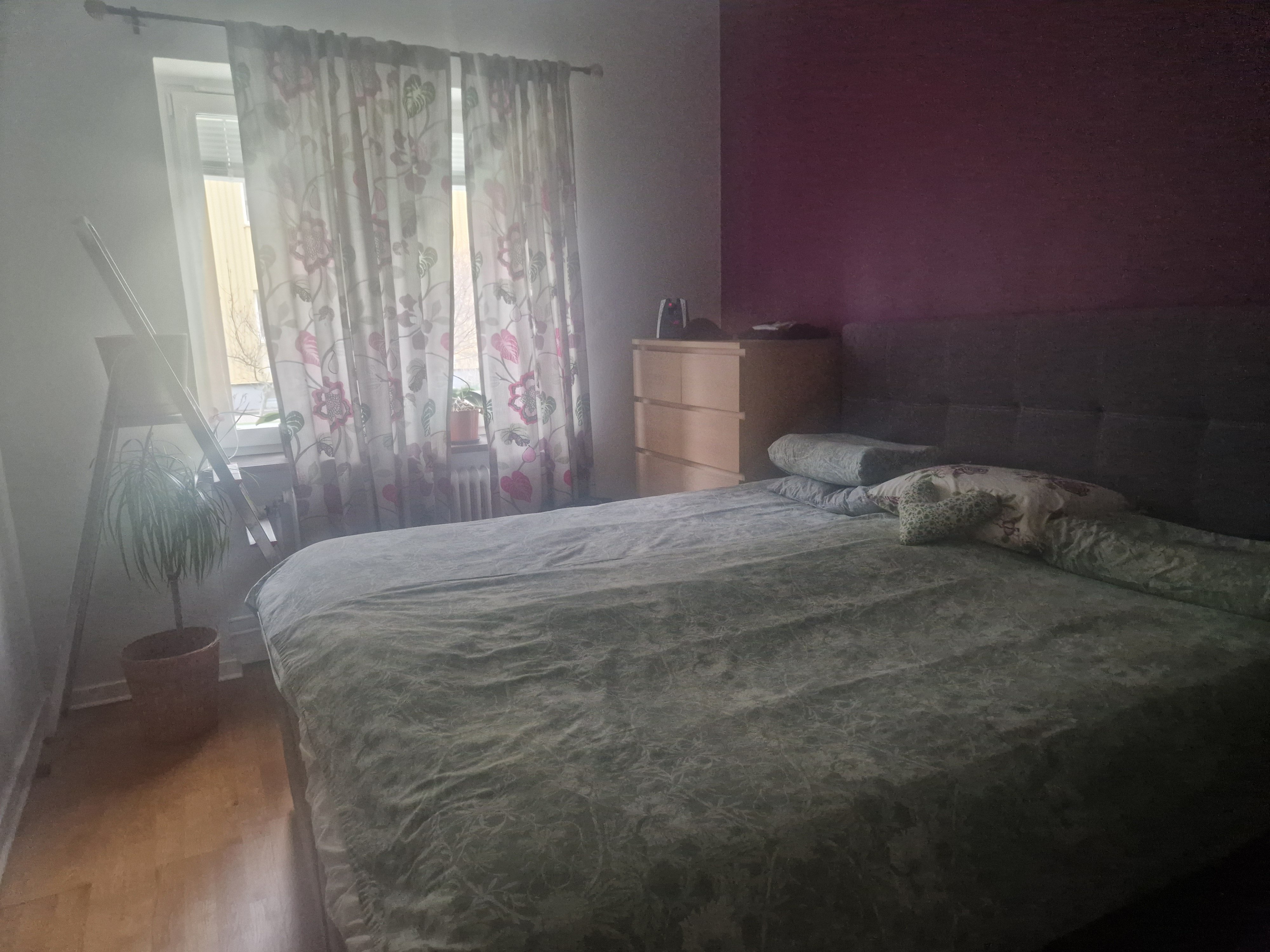 Lönngatan, Malmö — photo 4