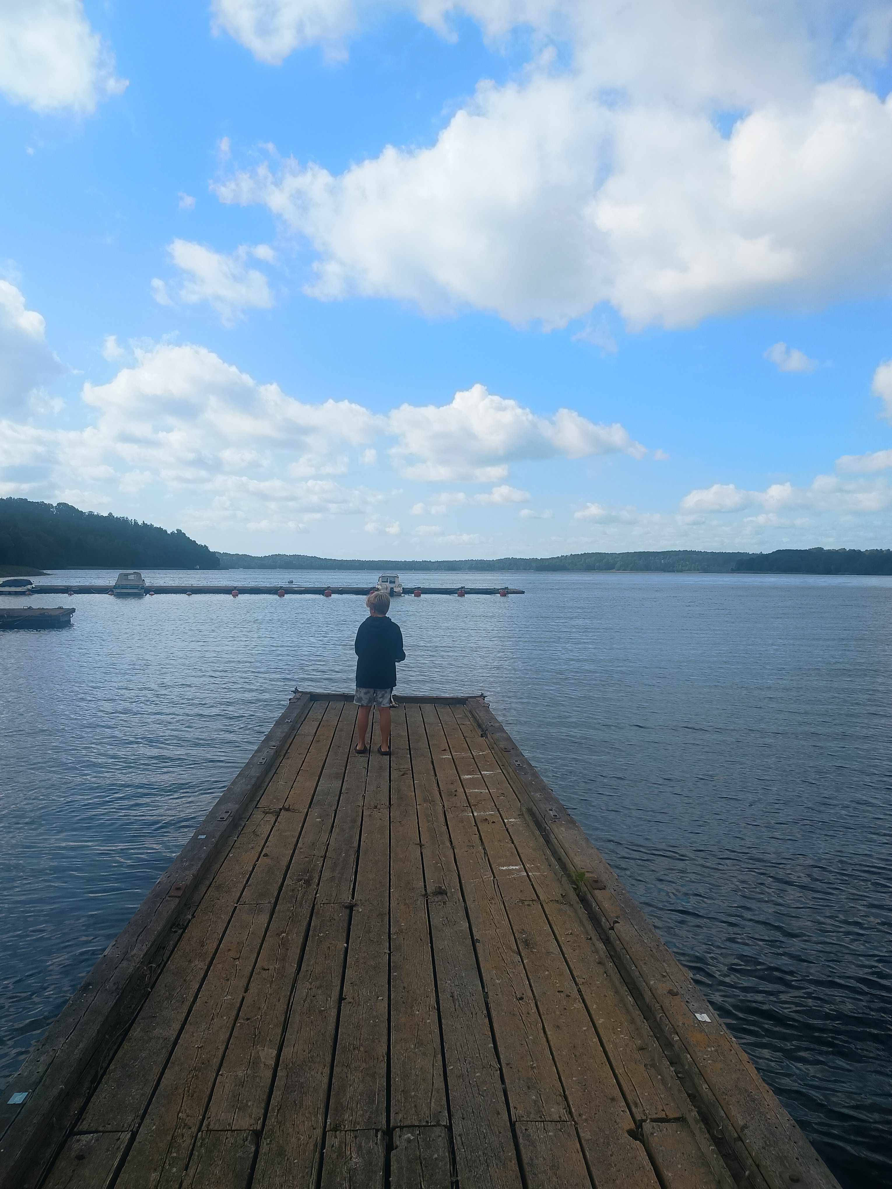 Bergfalkvägen