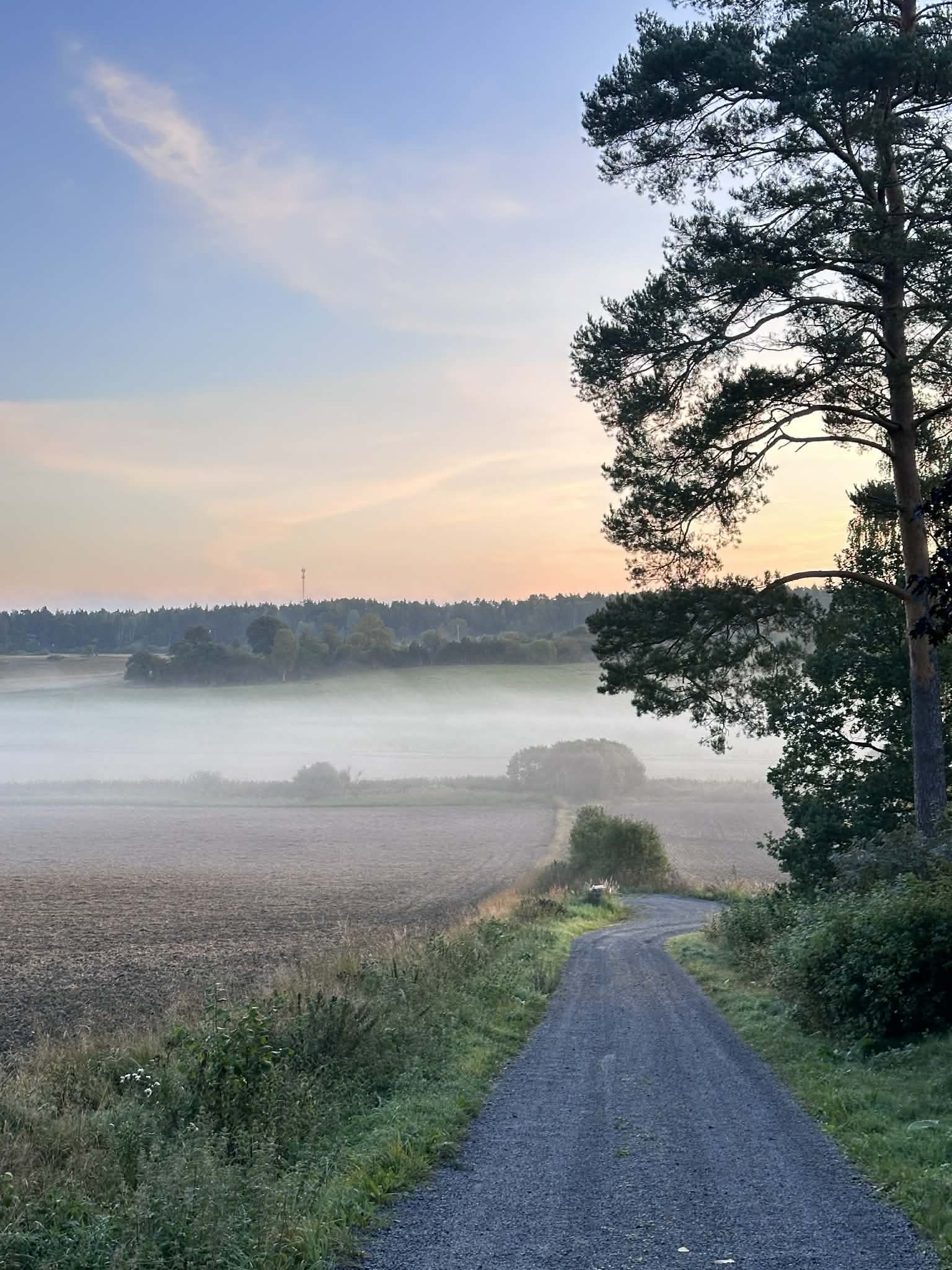 Hallgrens väg, Uppsala — photo 3
