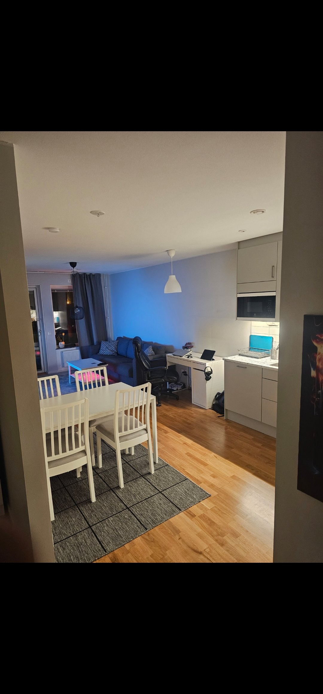 Skärvstensgatan, Umeå — photo 2