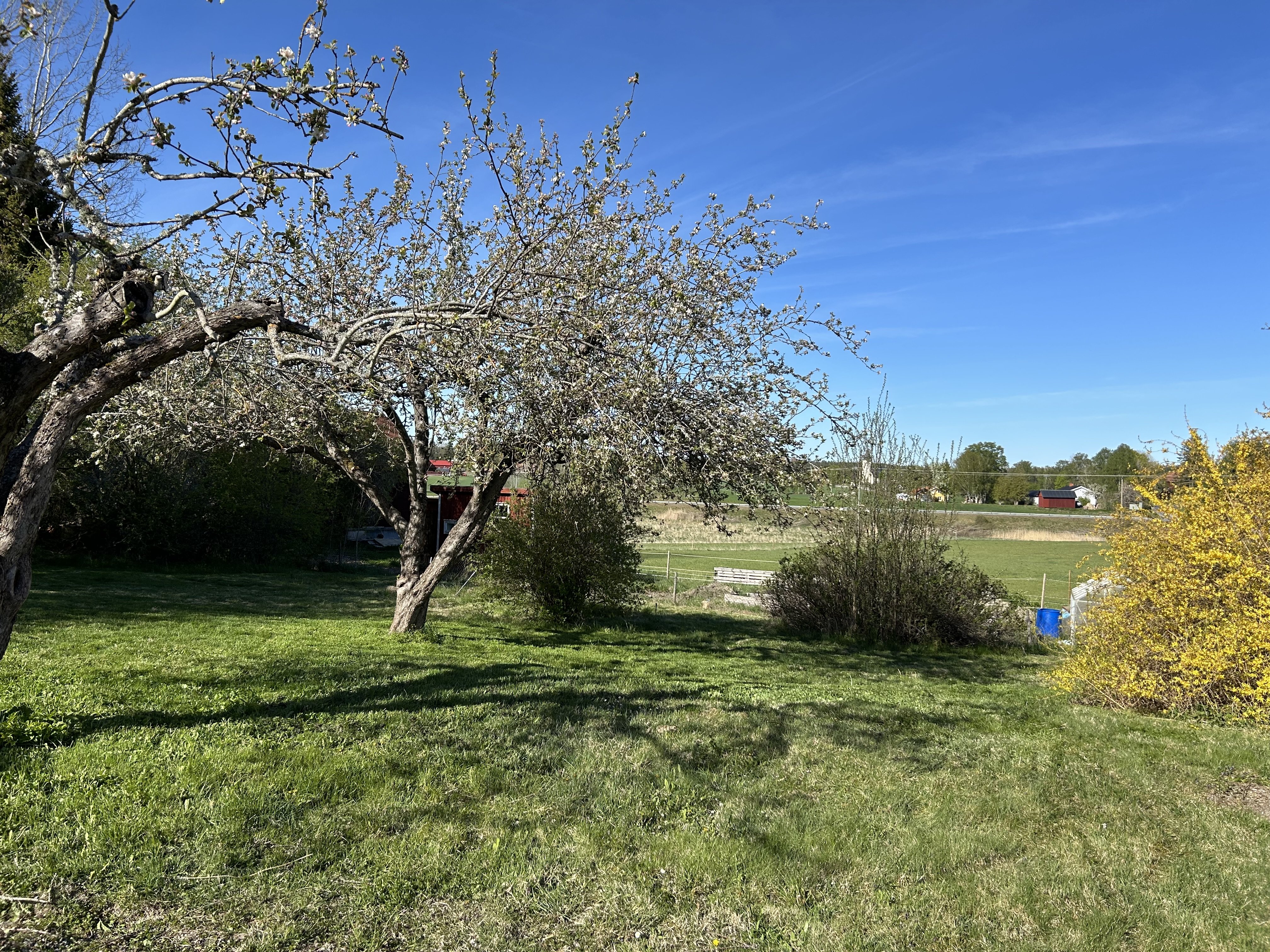 Hus – Bettna, Löta, Bettnaberg - Bild 2