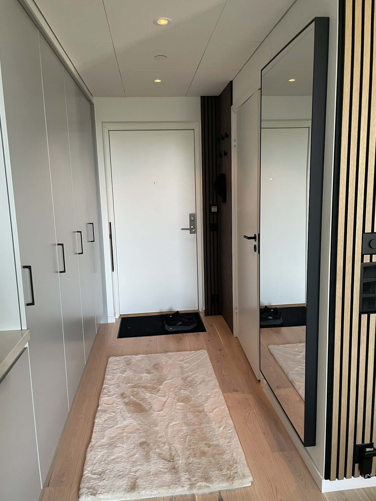 Lodjursstråket, Göteborg — photo 2