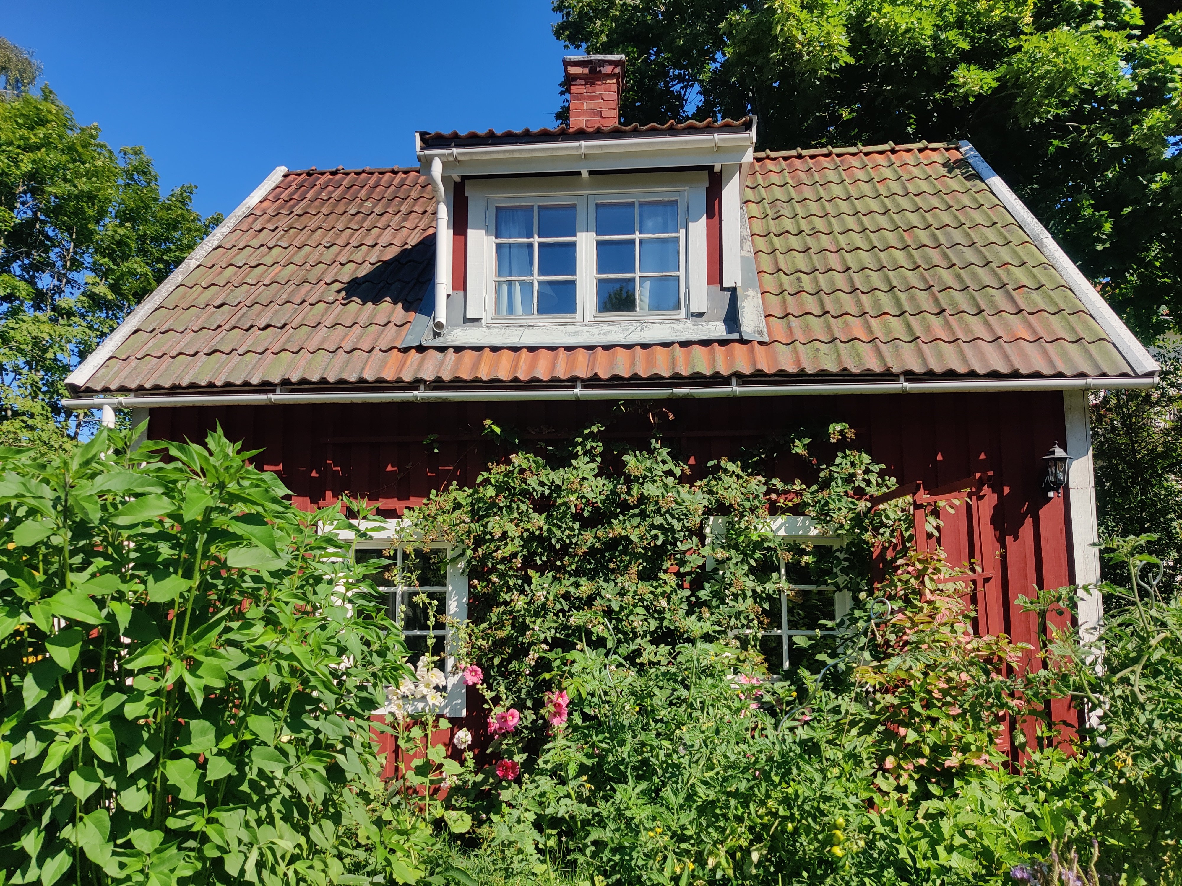 Property image 11