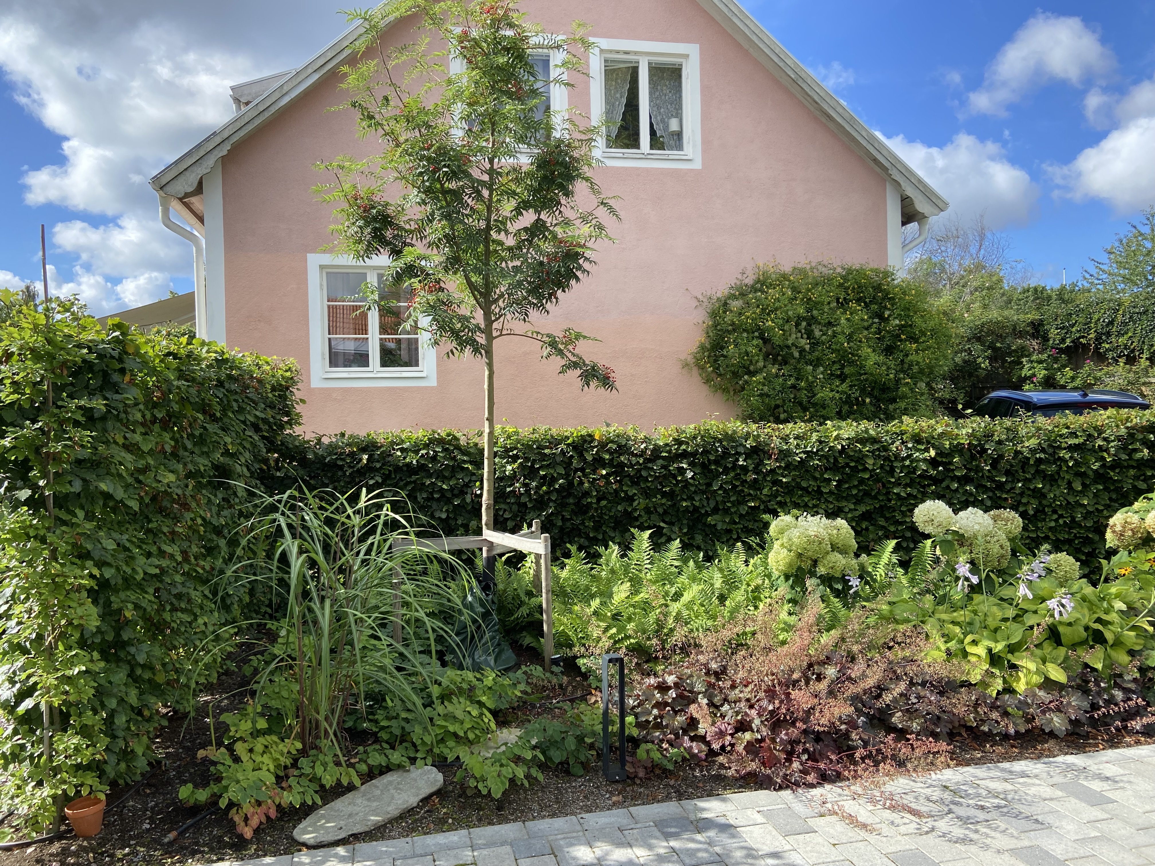 Svanbergsgatan, Uppsala — photo 5