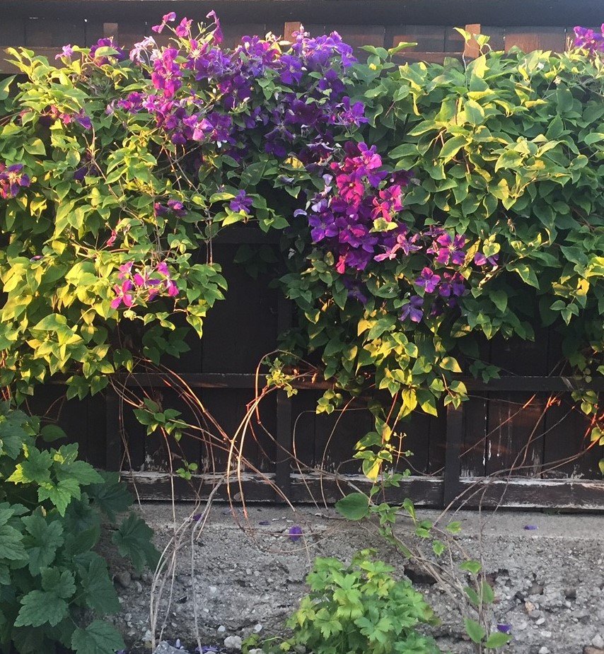 Villa/Hus, 4 rum, 75 kvm, Visby