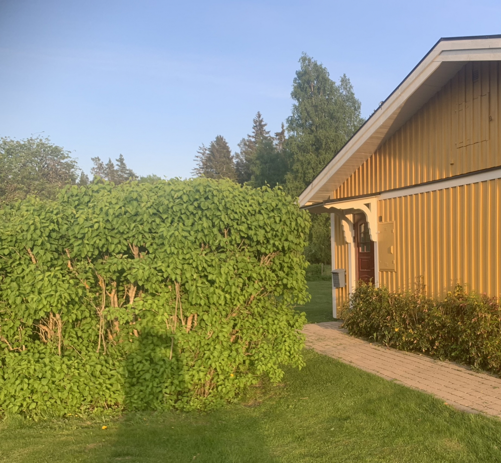 Lägenhet, 2 rooms, 24 sqm, Uppsala