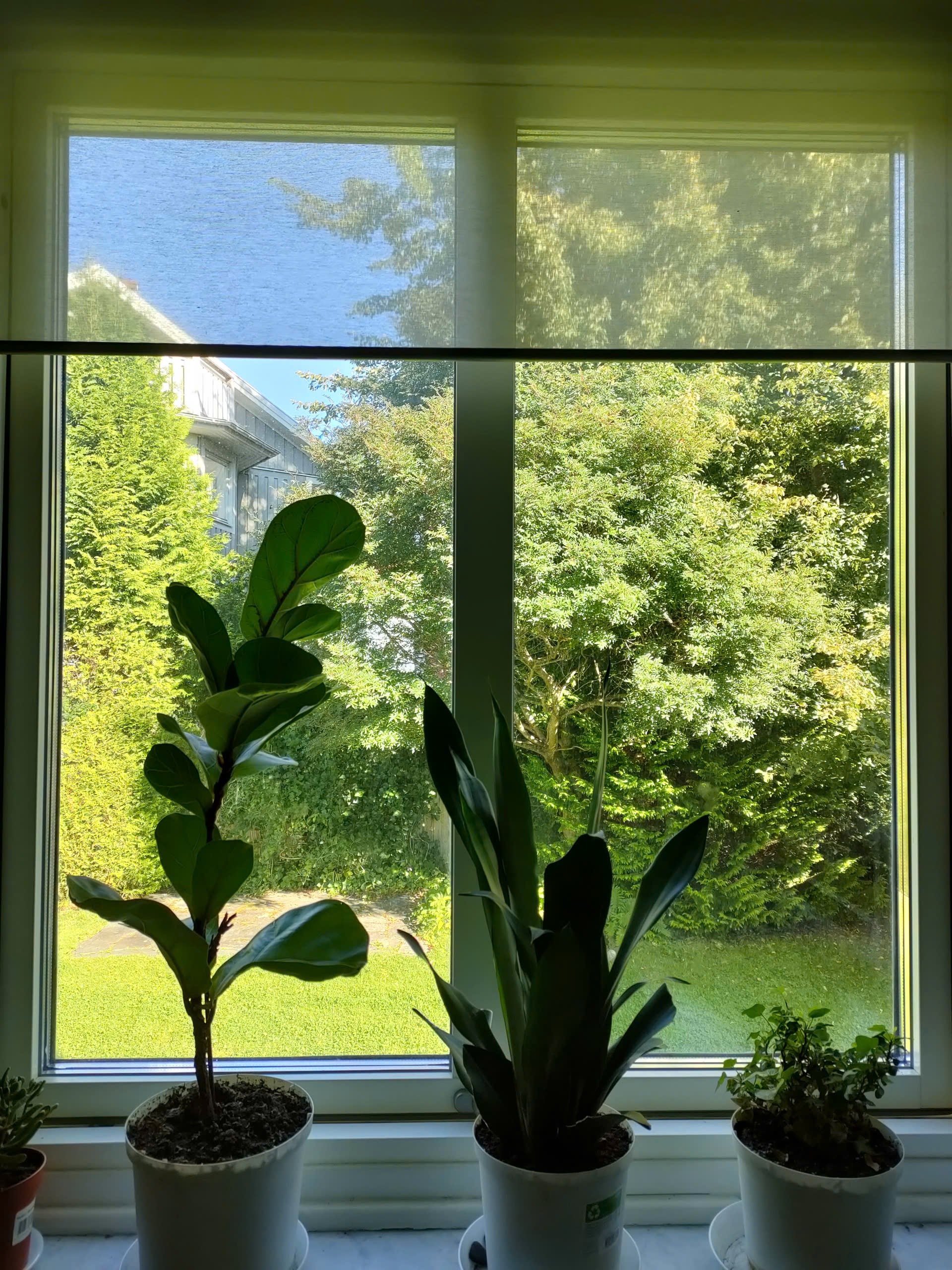 Bögatan, Göteborg — photo 2