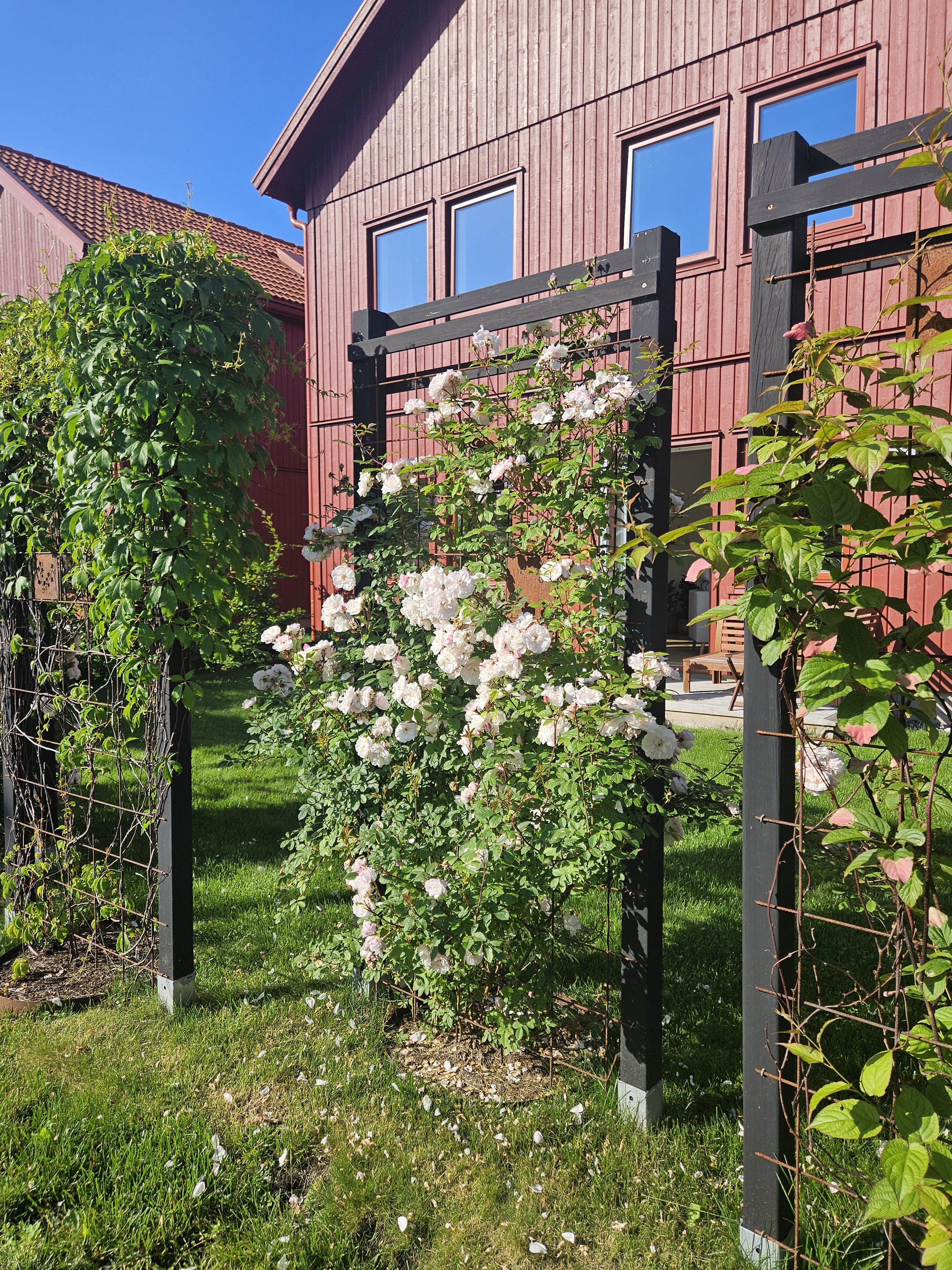 House in Enköping, Bergvreten - Fler