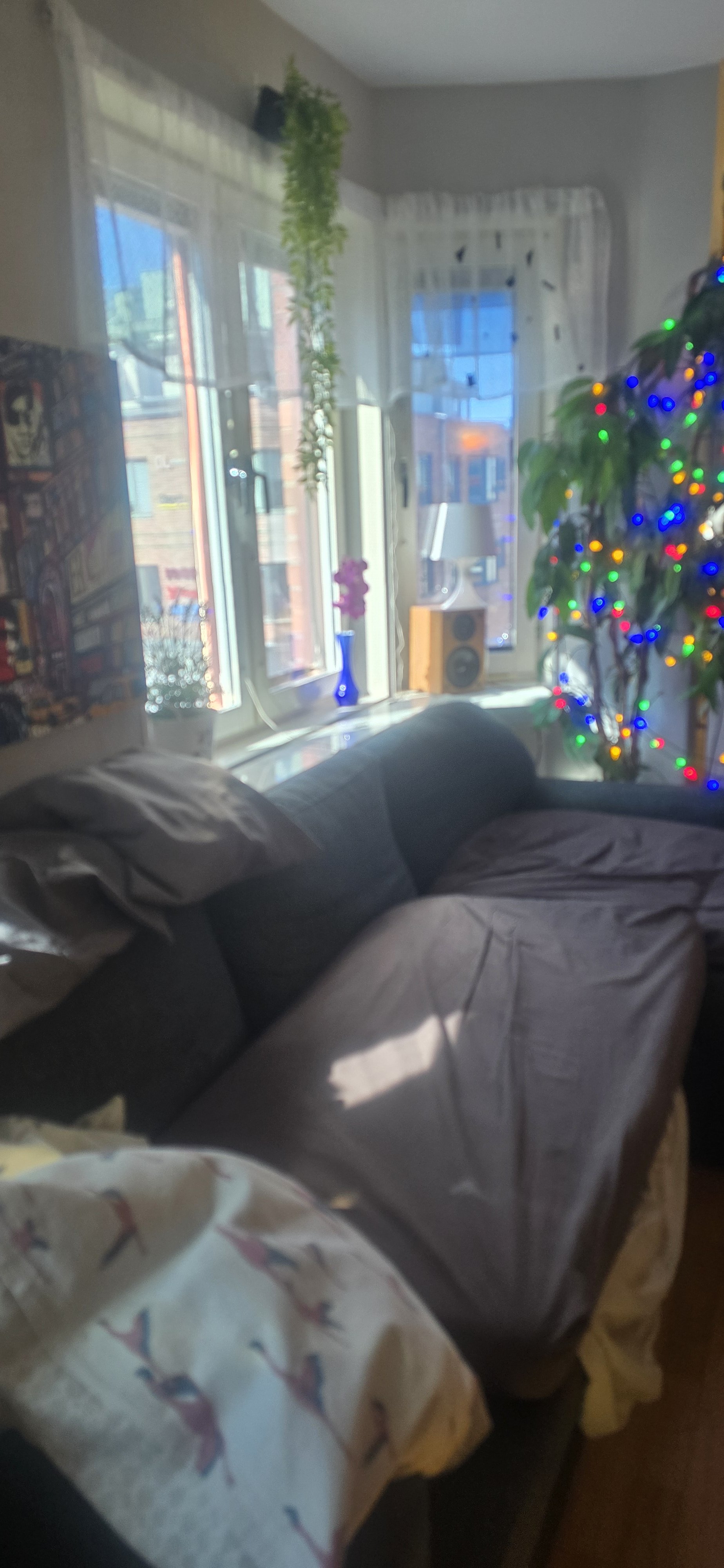 Dragarbrunnsgatan, Uppsala — photo 5