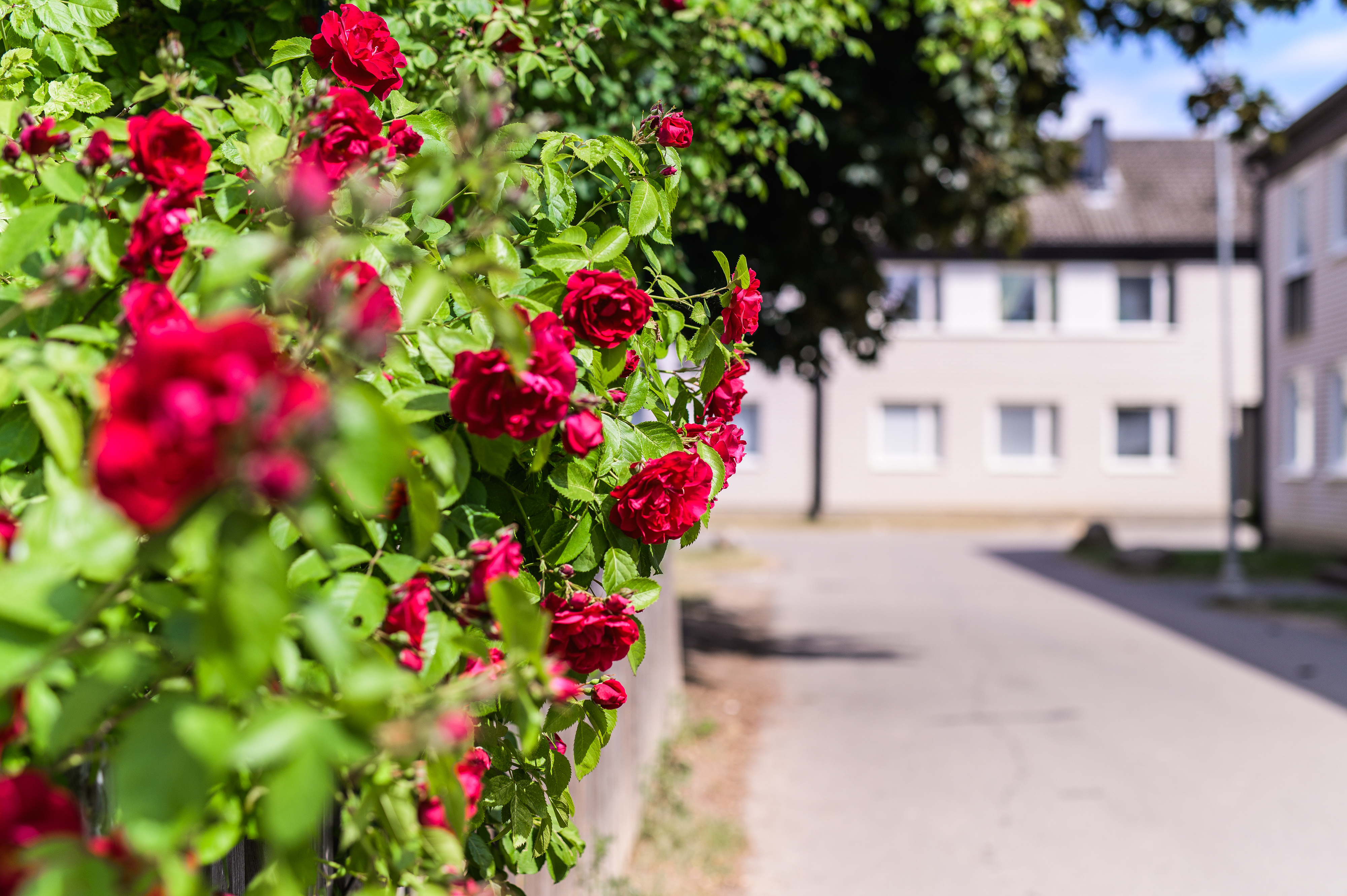 Lägenhet, 2 rum, 69 kvm, Linköping