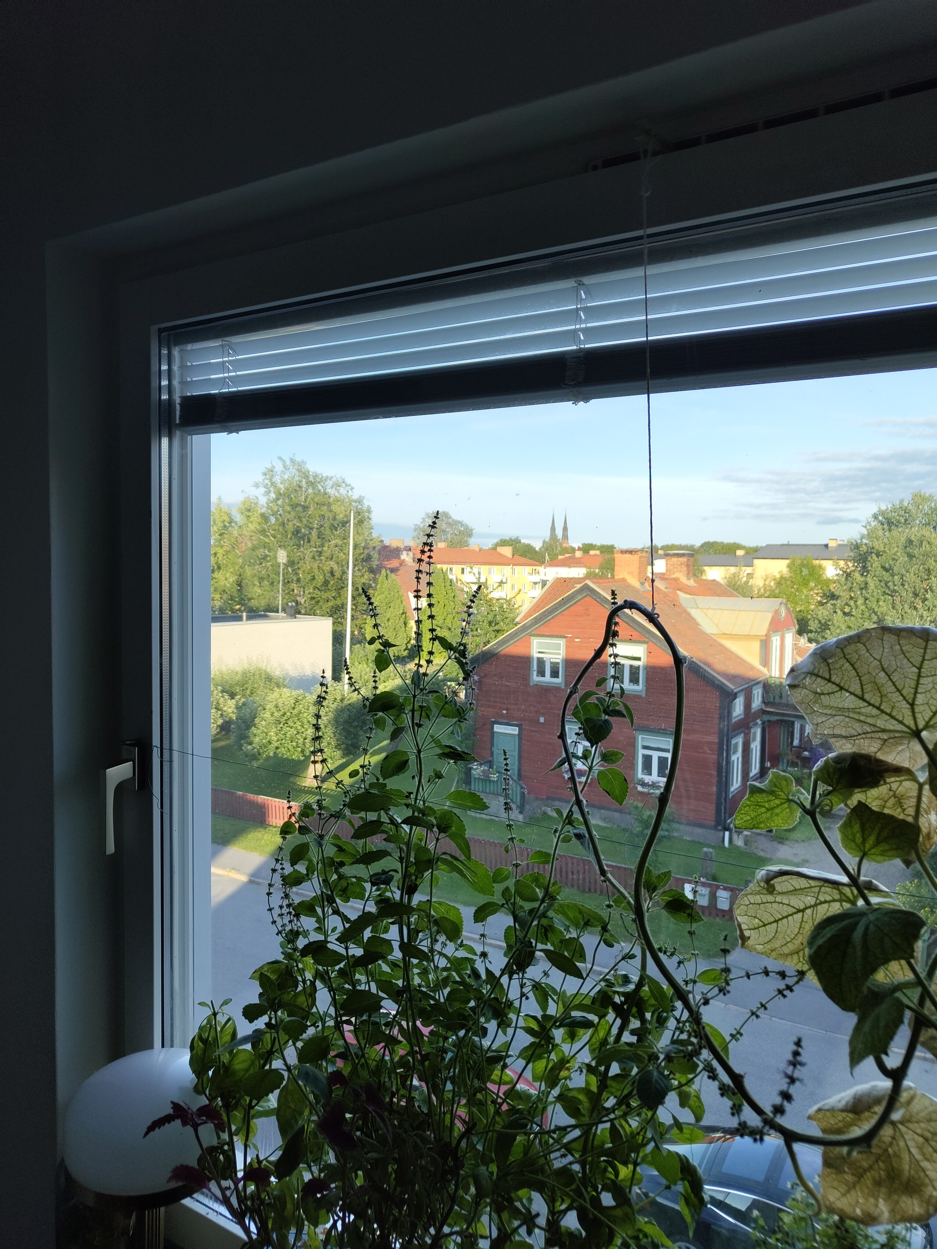 Stabby allé, Uppsala — photo 5