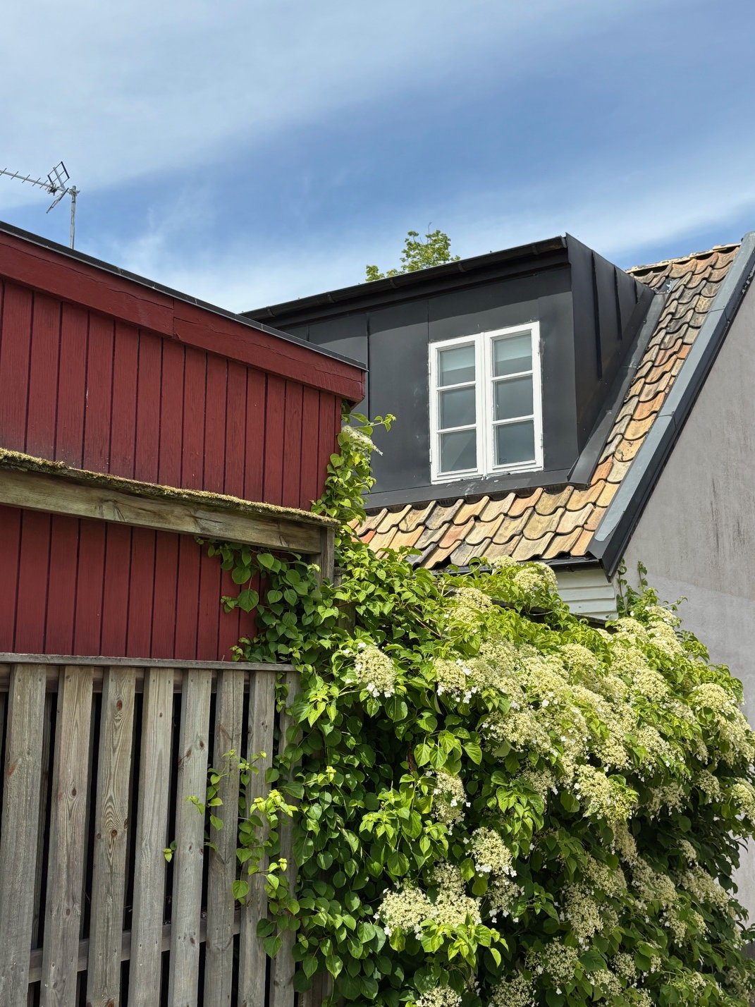 Sankt Månsgatan
