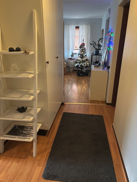 Båtyxevägen, Lund — photo 3