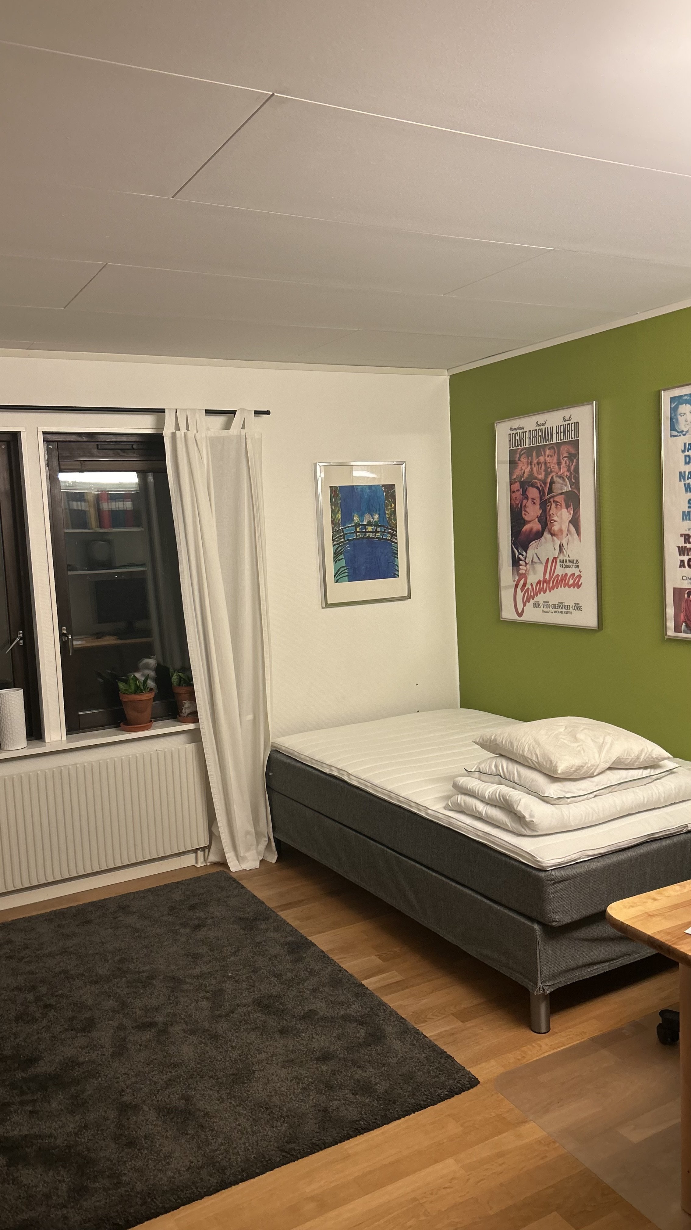 Trollsländevägen