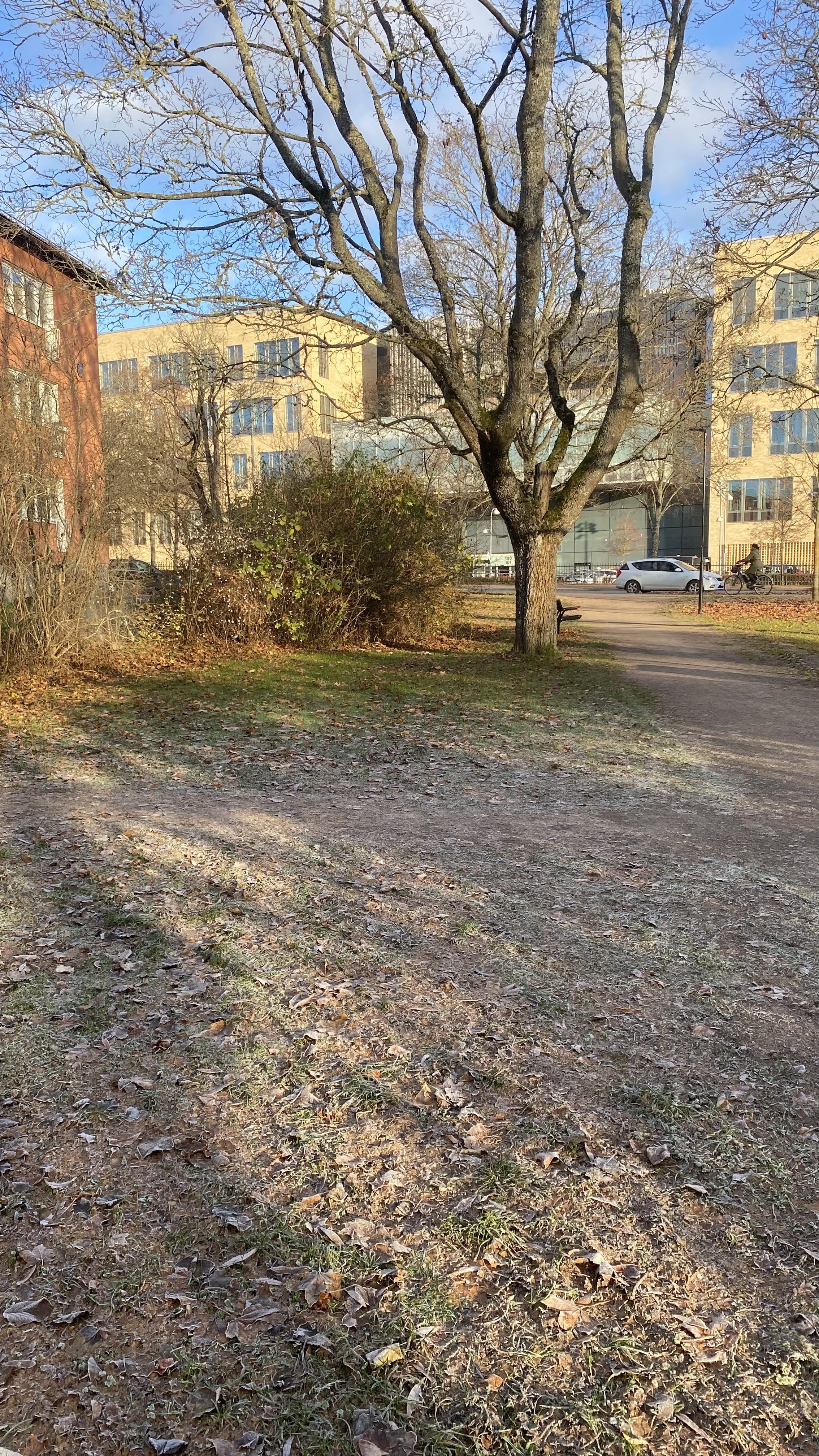 Lägenhet, 1 rum, 14 kvm, Uppsala