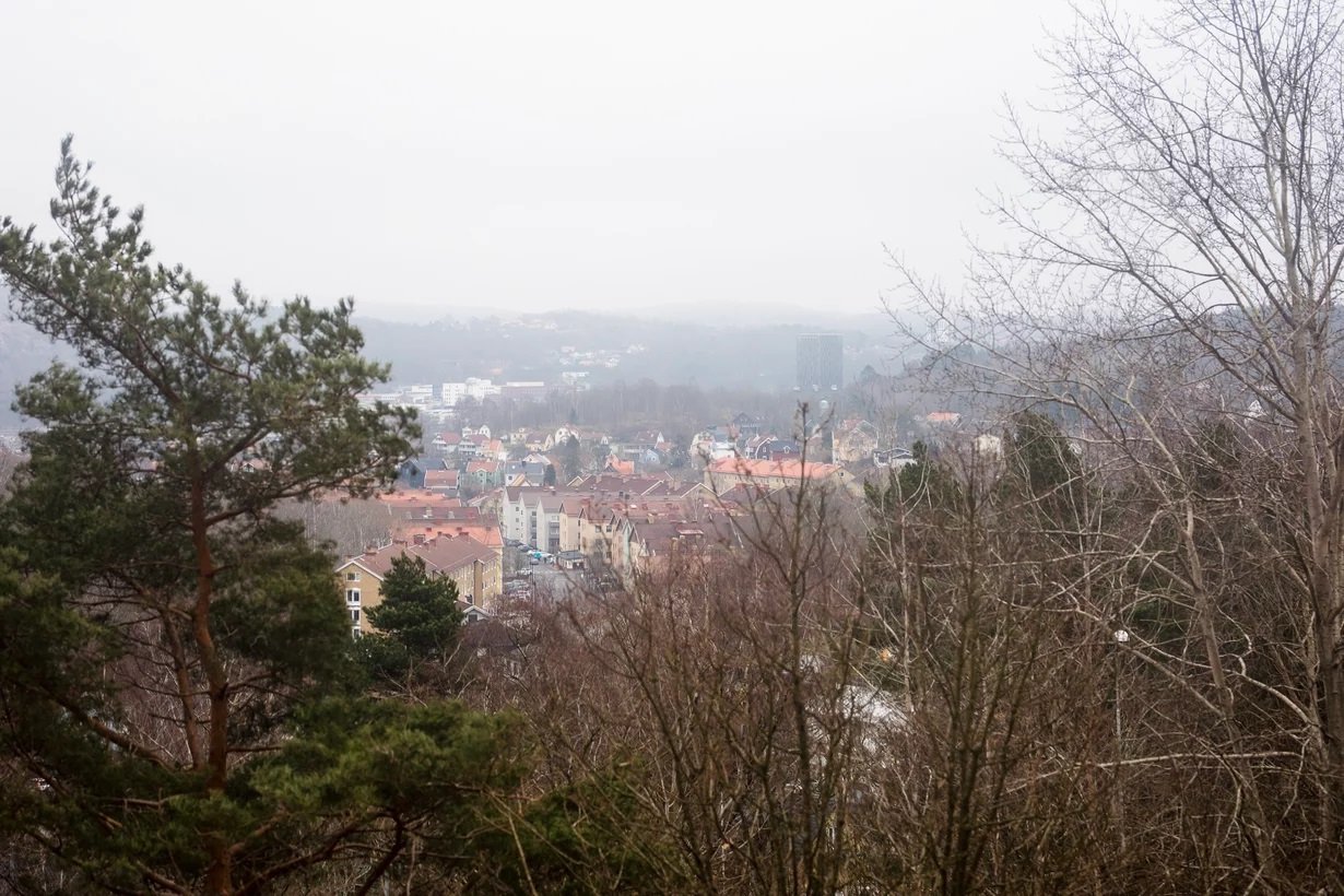 Doktor Forselius Gata, Göteborg — photo 3