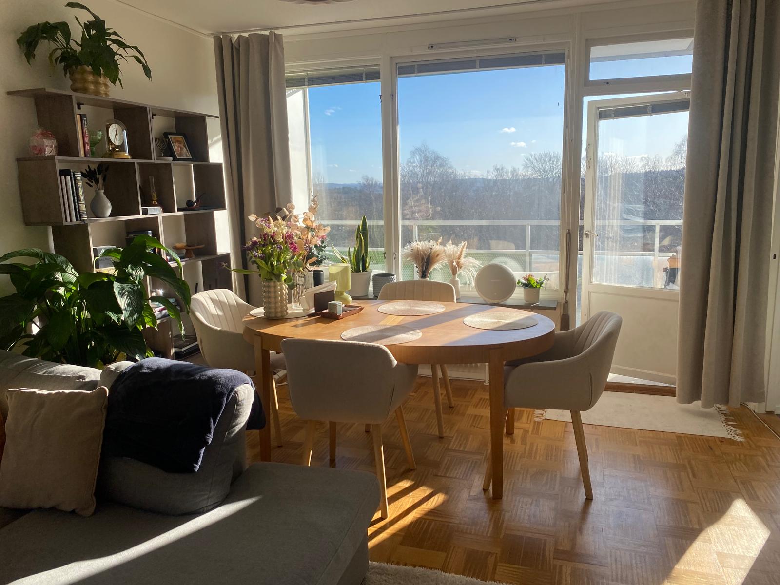 Doktor Forselius Backe, Göteborg — photo 5