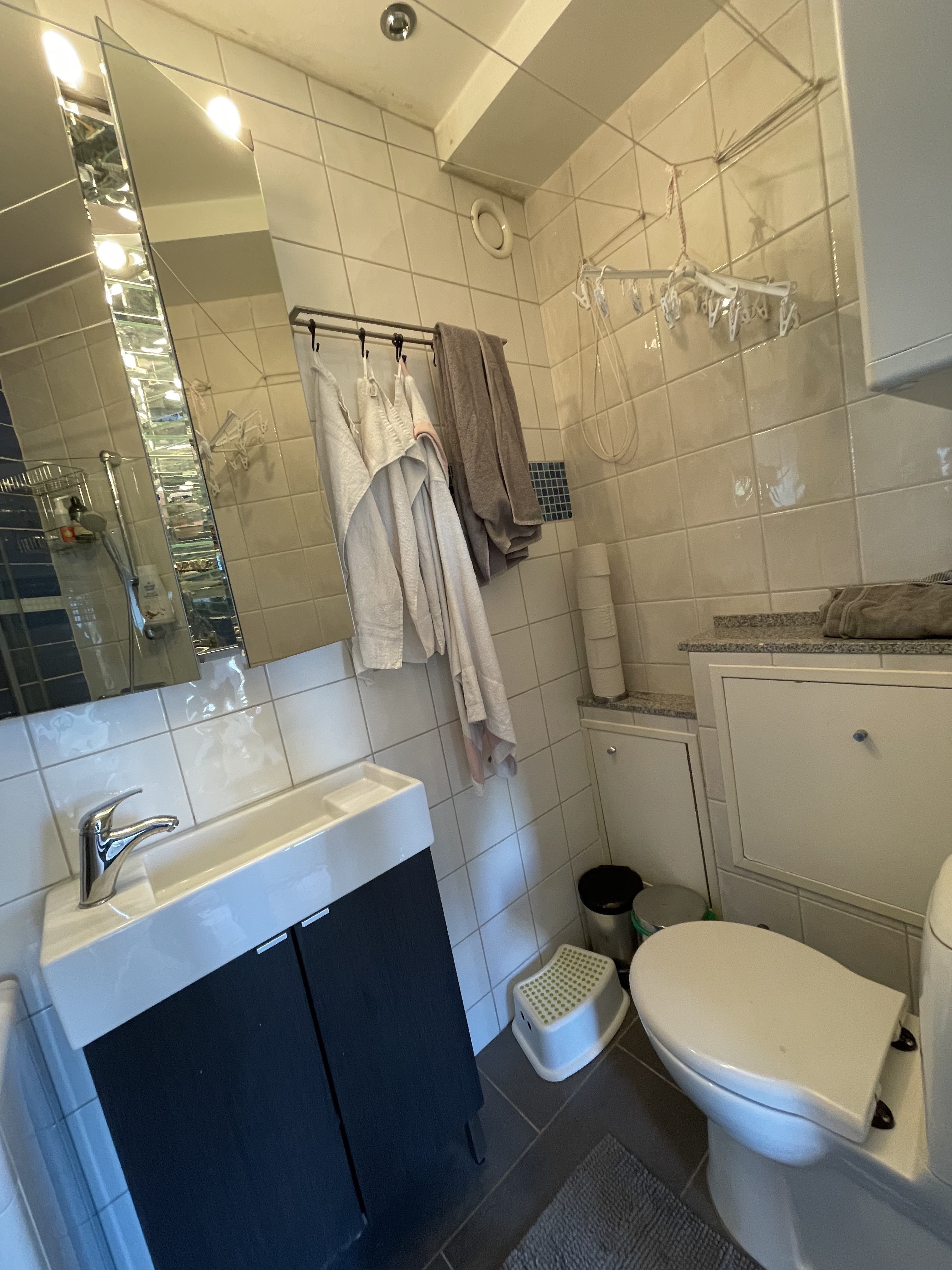 Toppbrinken, Spånga — photo 4